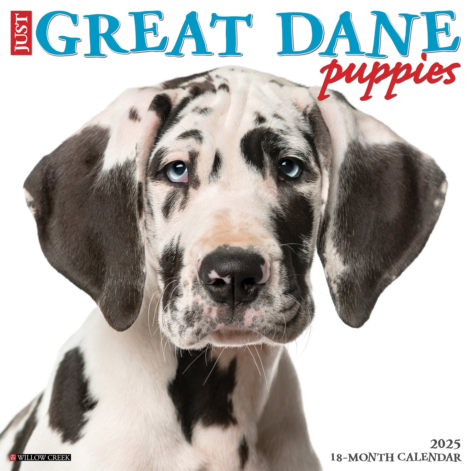 2025 Great Dane Puppies - Square Wall Calendar