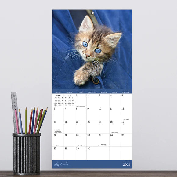 2025 Kittens - Mini Wall Calendar