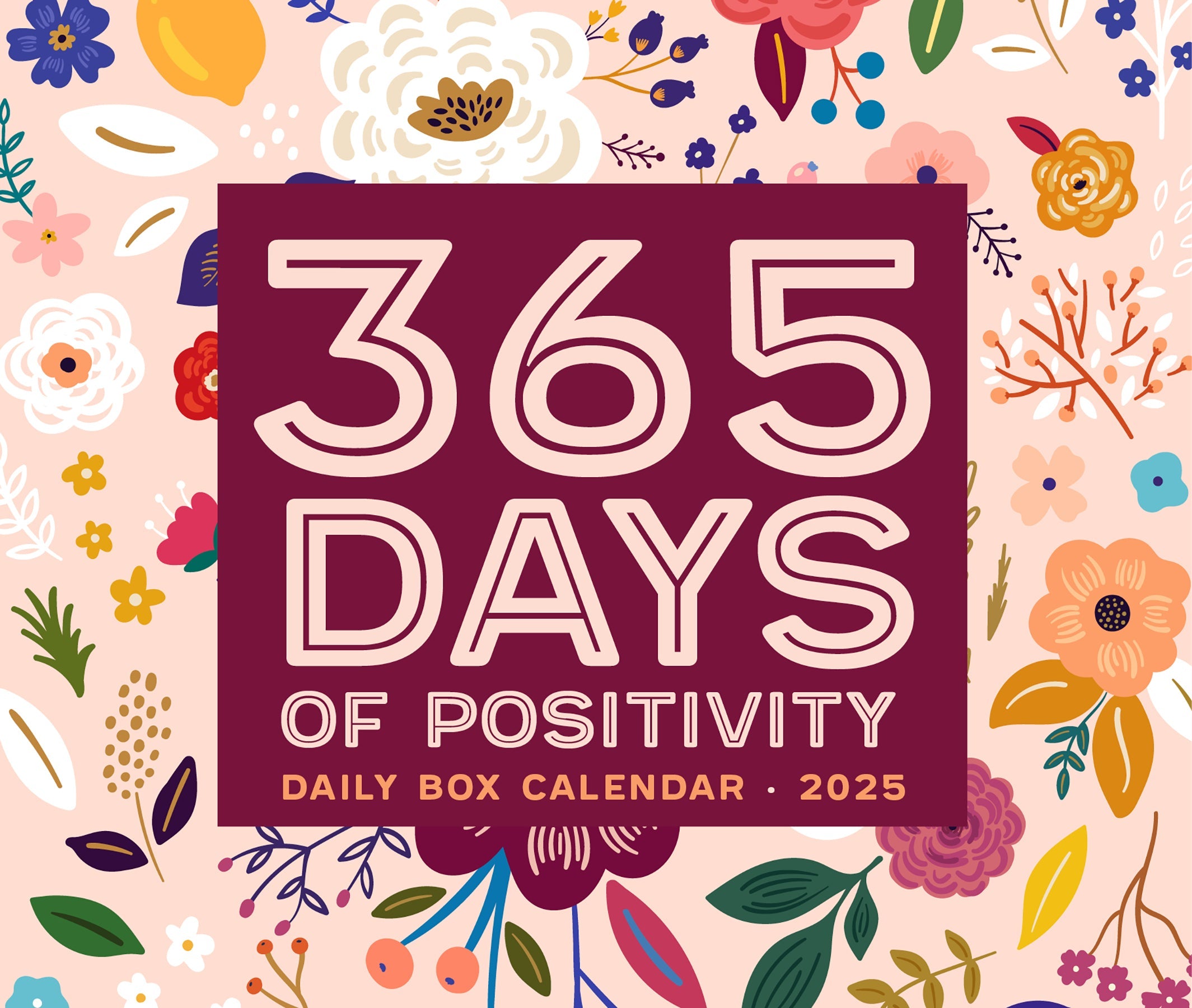 2025 365 Days of Positivity - Daily Boxed Page-A-Day Calendar
