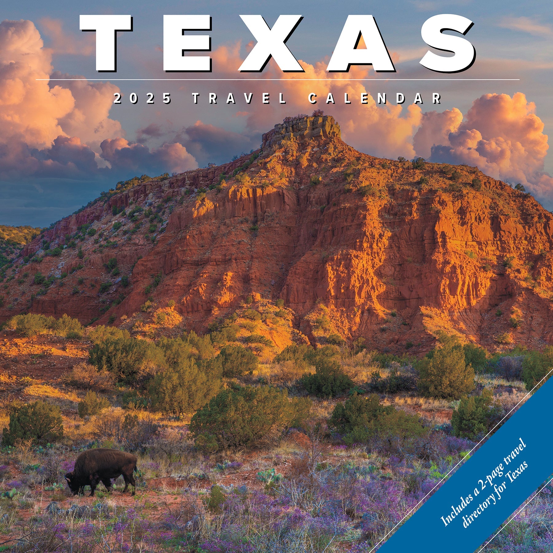 2025 Texas - Square Wall Calendar