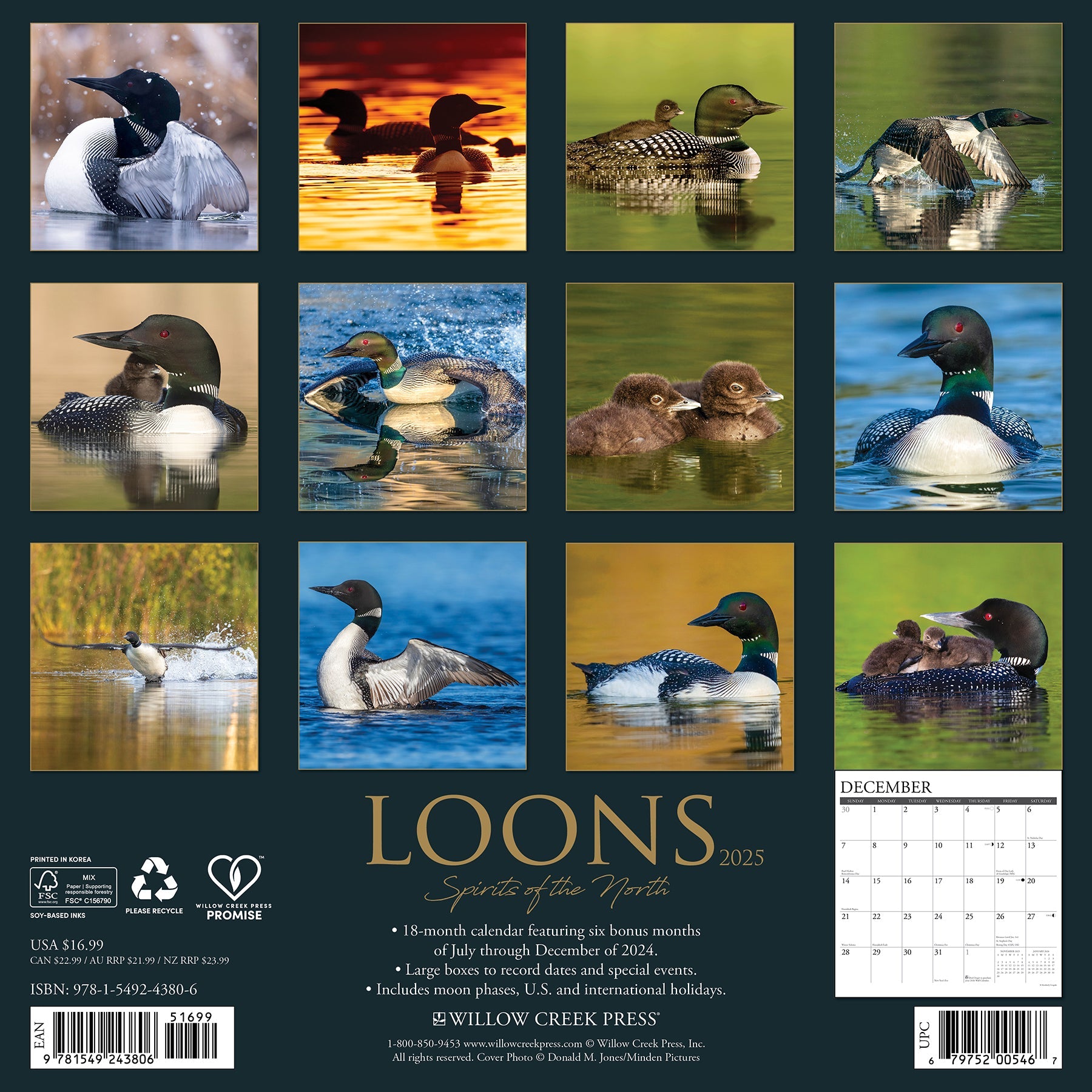 2025 Loons - Square Wall Calendar