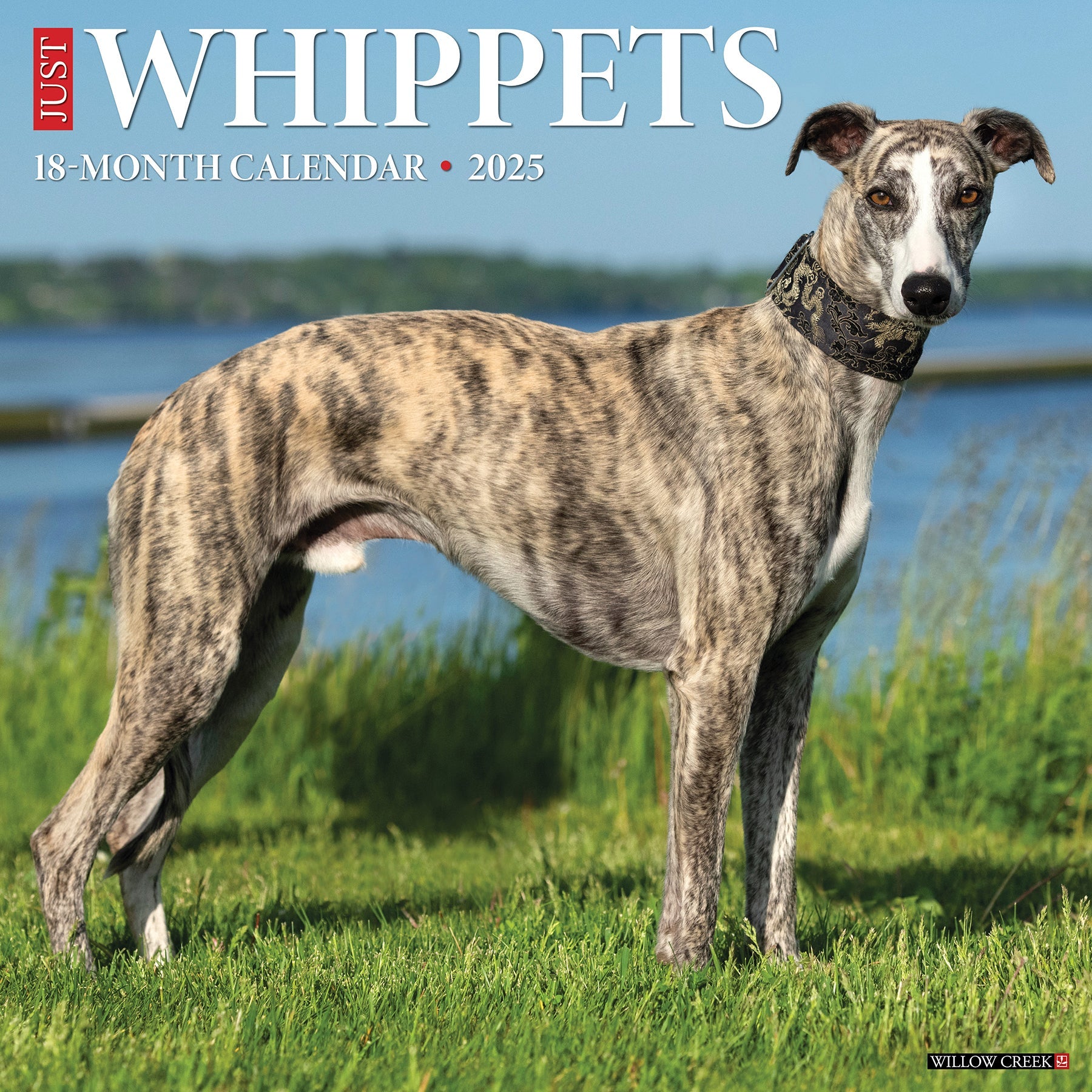 2025 Whippets - Square Wall Calendar