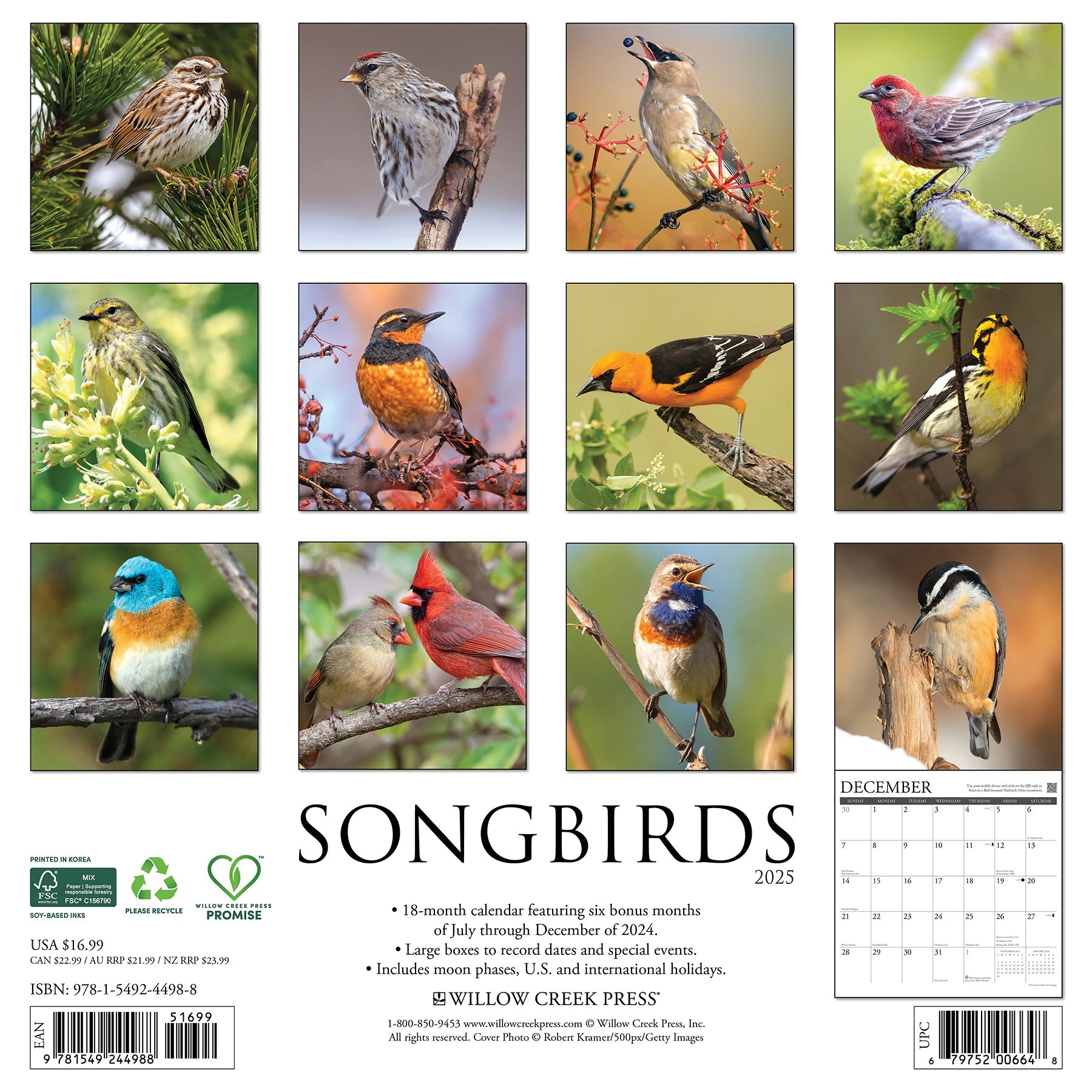 2025 Songbirds - Square Wall Calendar