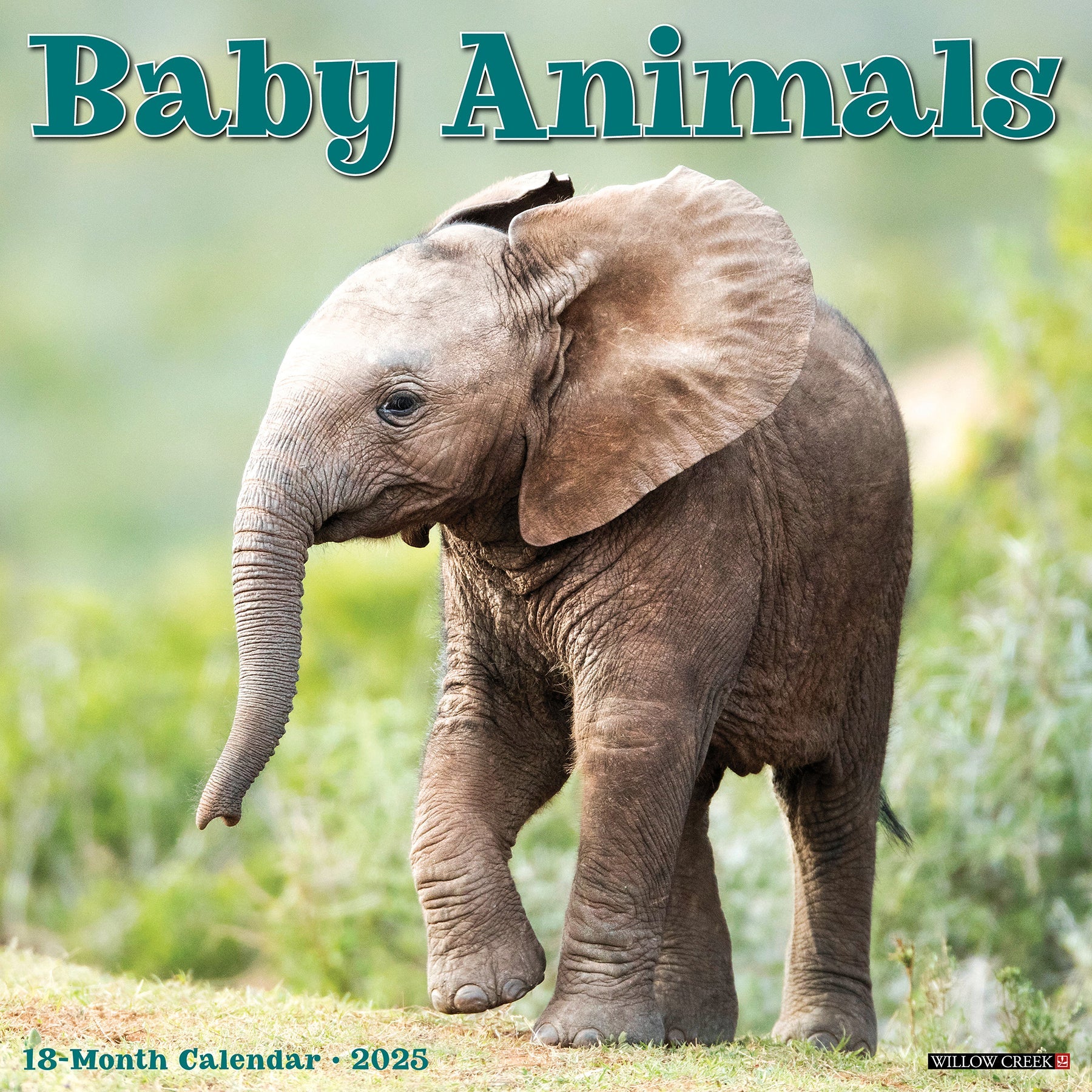 2025 Baby Animals - Square Wall Calendar