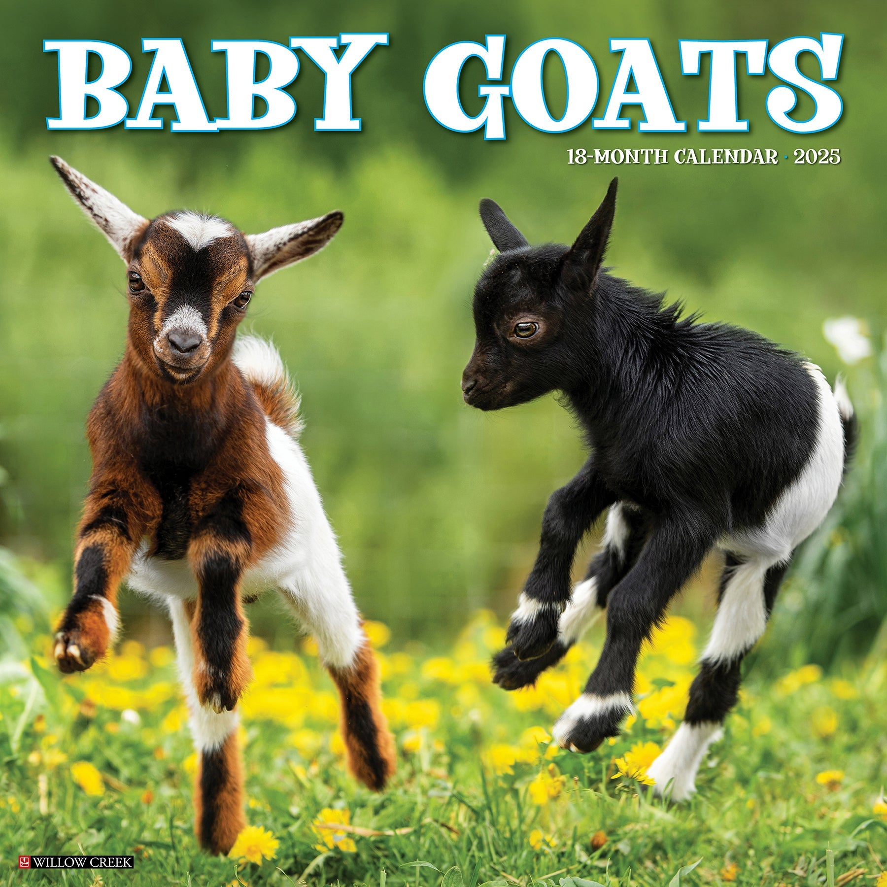 2025 Baby Goats - Square Wall Calendar