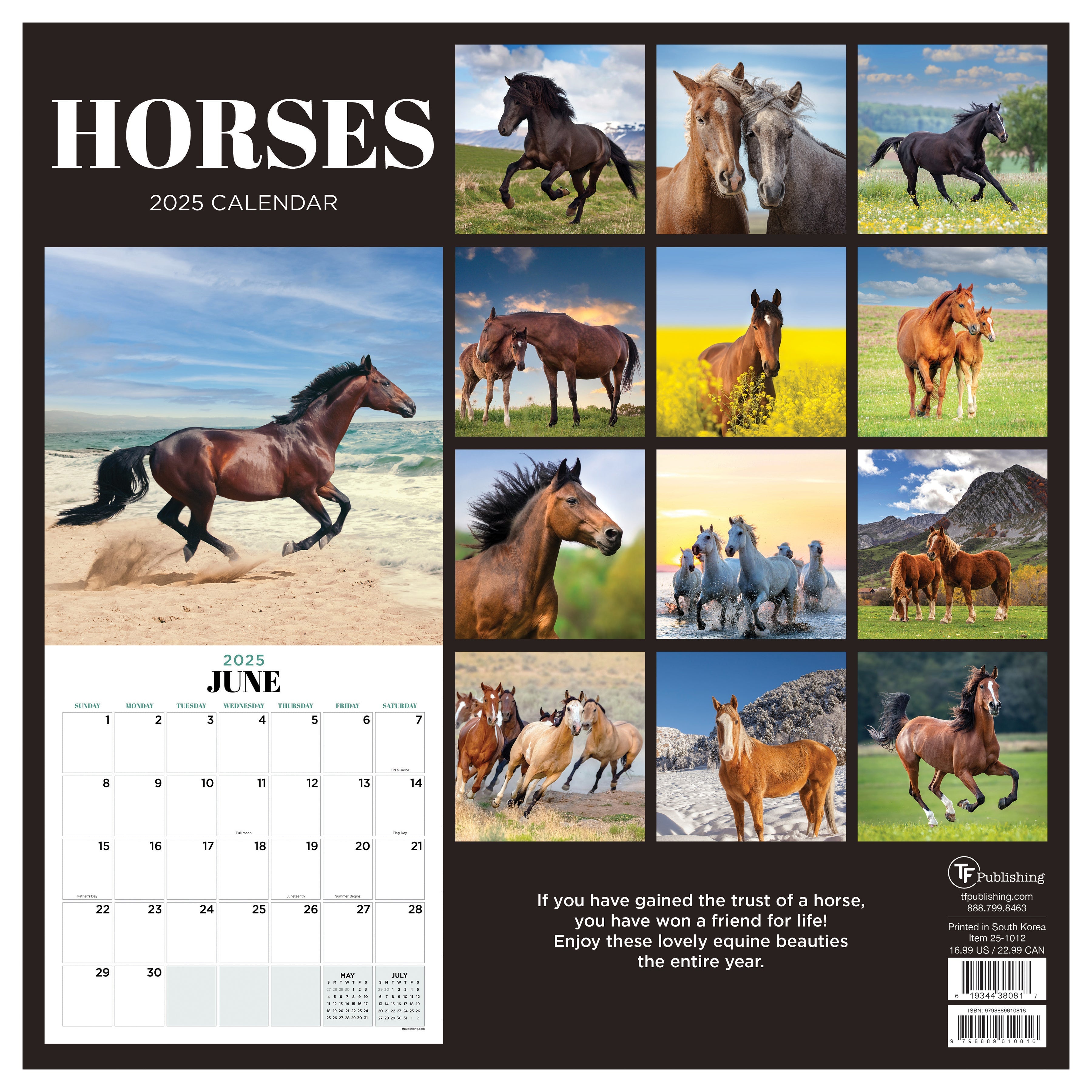 2025 Horses - Square Wall Calendar