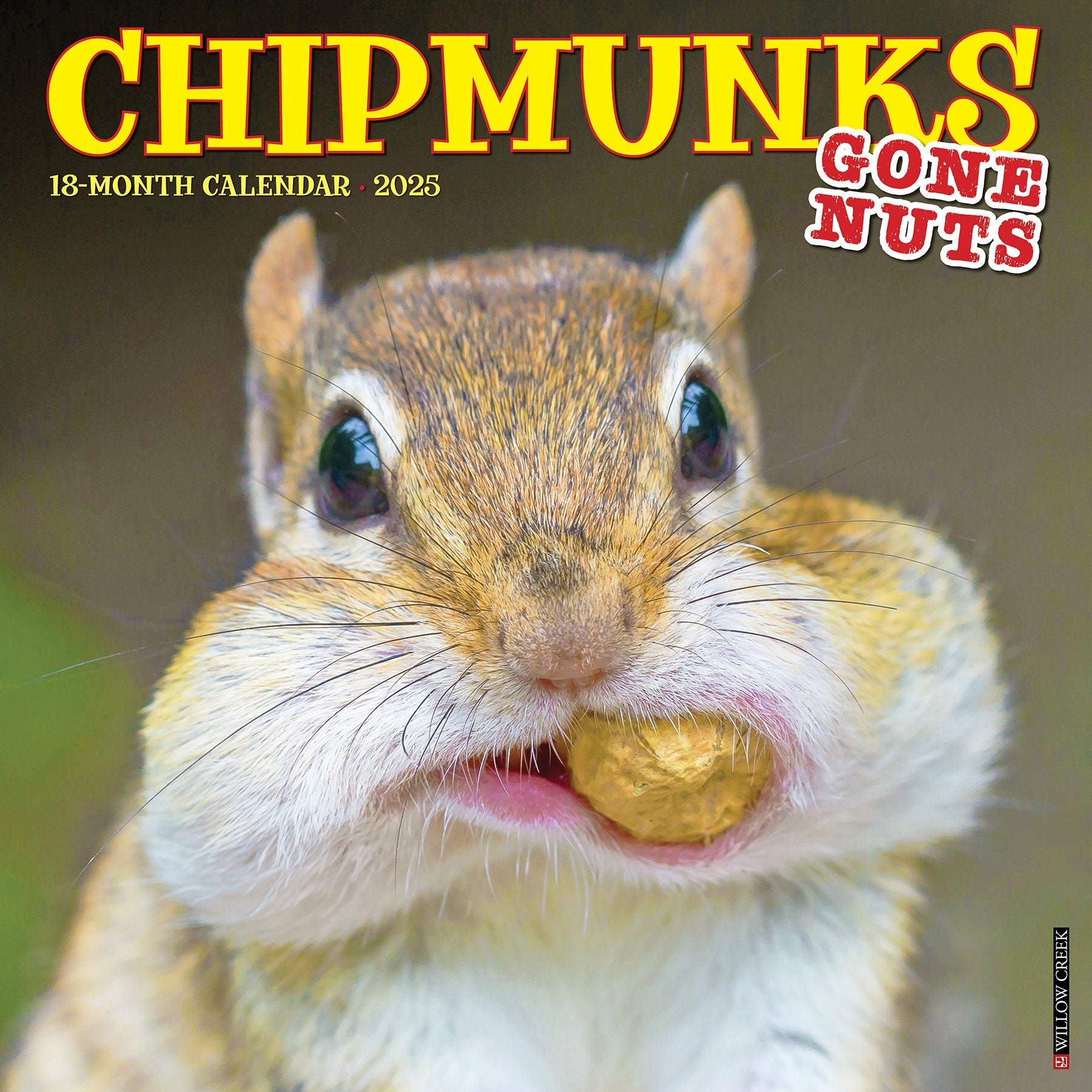 2025 Chipmunks (Gone Nuts!) - Square Wall Calendar