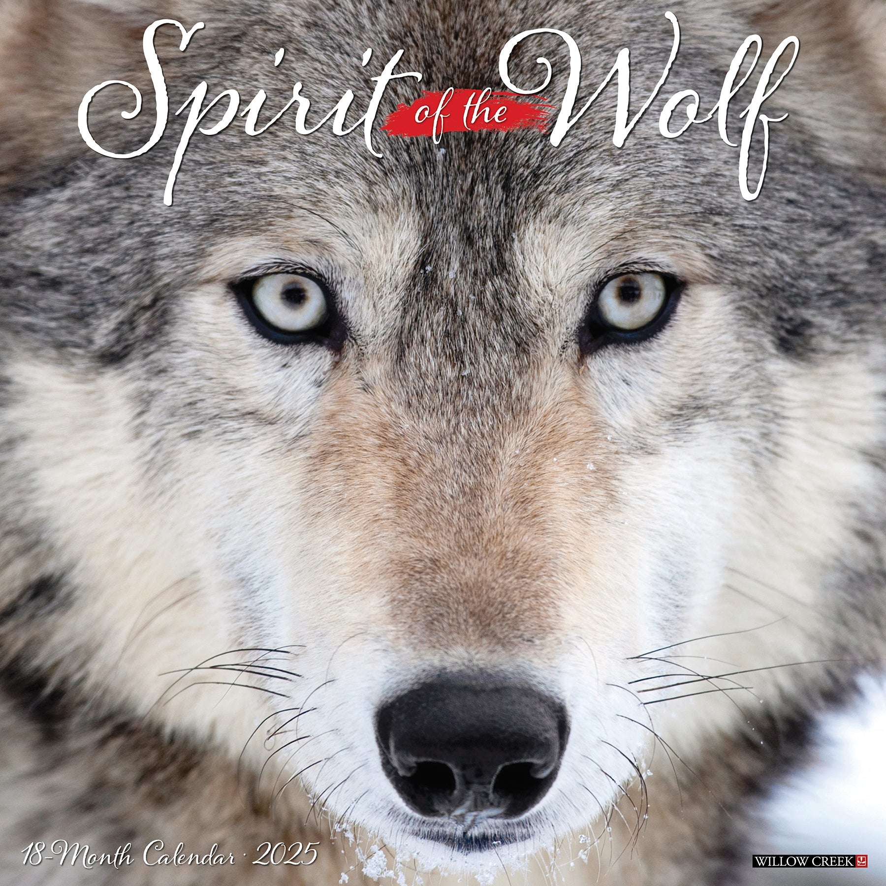 2025 Spirit of the Wolf - Square Wall Calendar