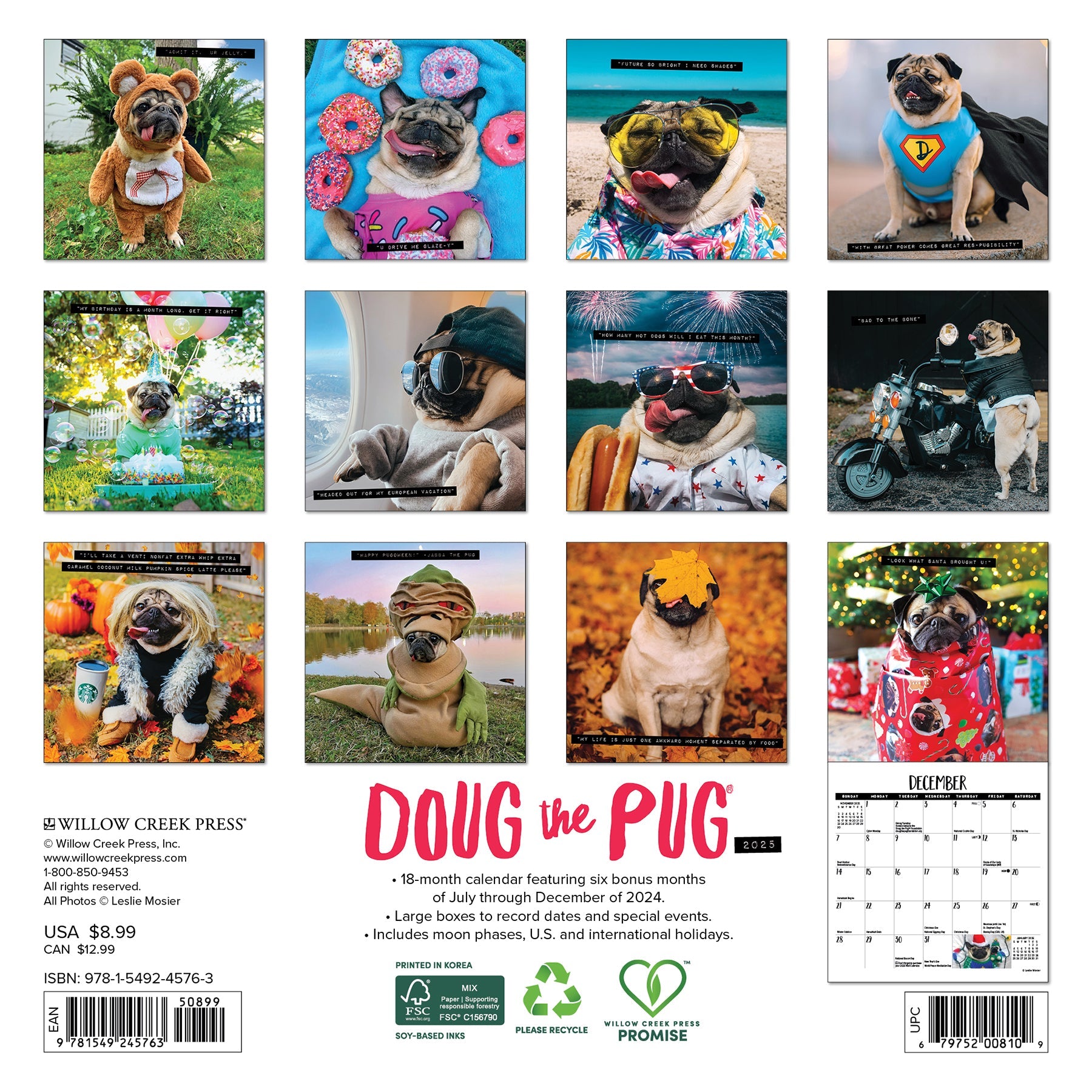 2025 Doug the Pug - Mini Wall Calendar