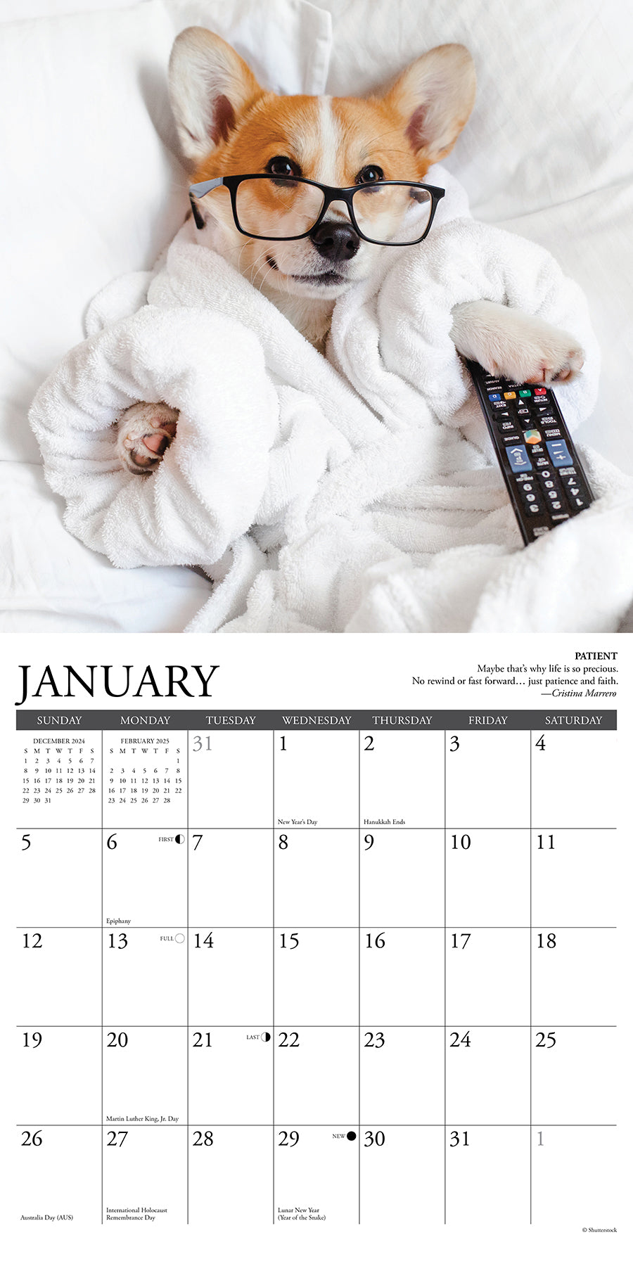 2025 Corgi Rules - Square Wall Calendar