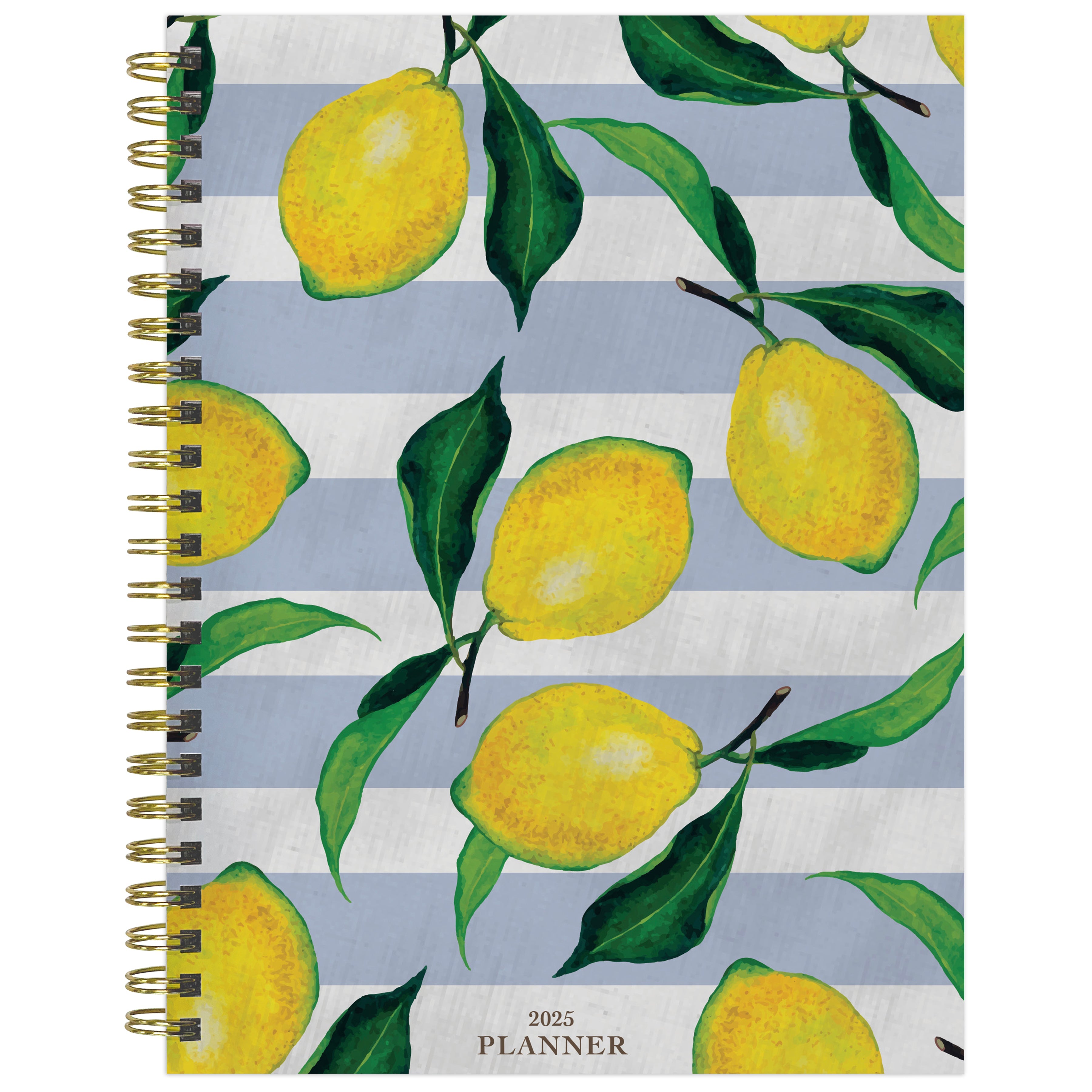 2025 Lemons of Capri - Medium Monthly & Weekly Diary/Planner