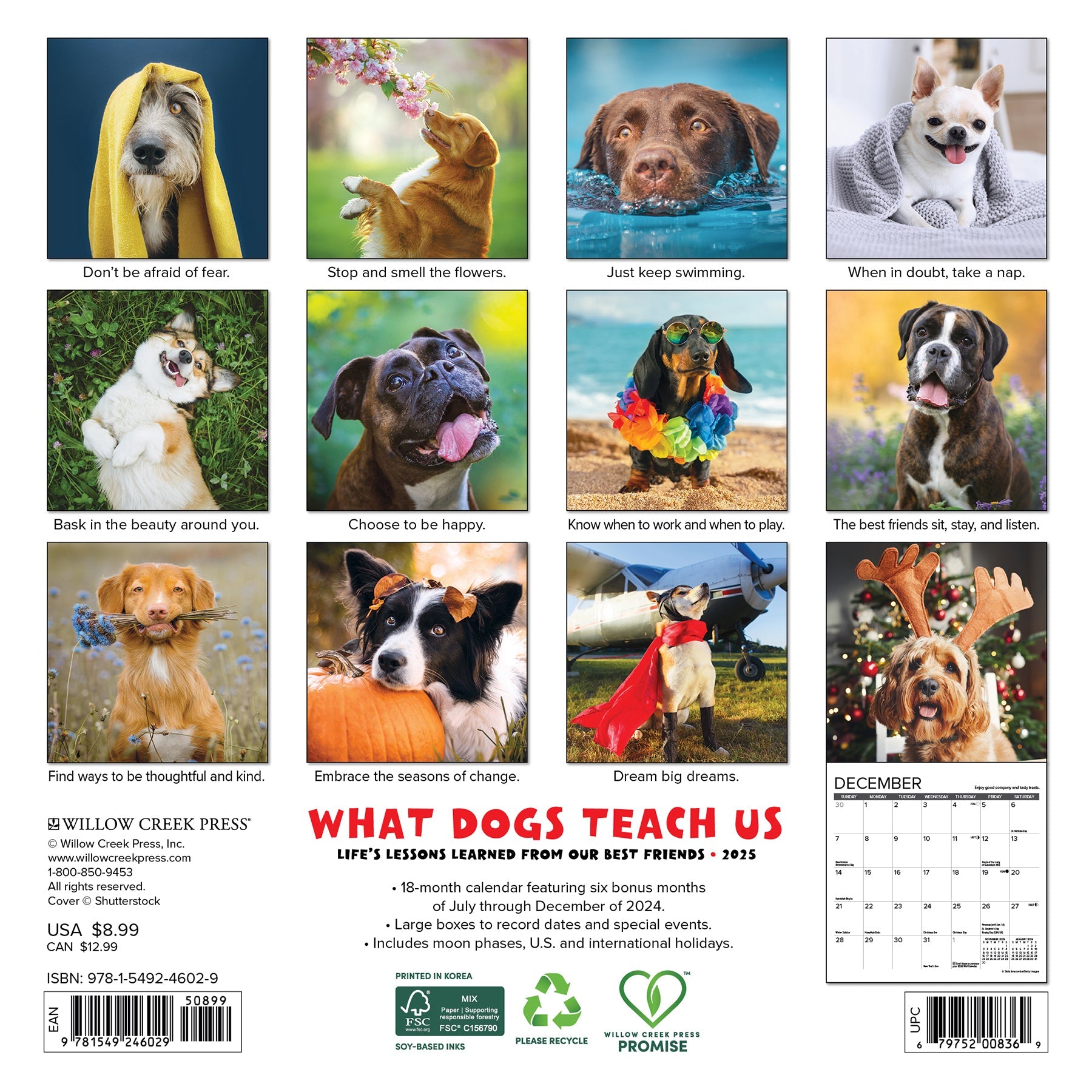 2025 What Dogs Teach Us - Mini Wall Calendar