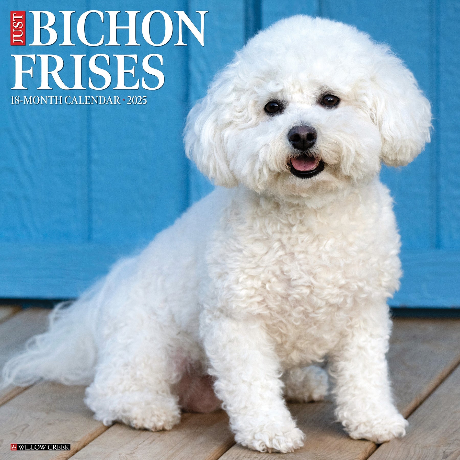 2025 Bichon Frises - Square Wall Calendar