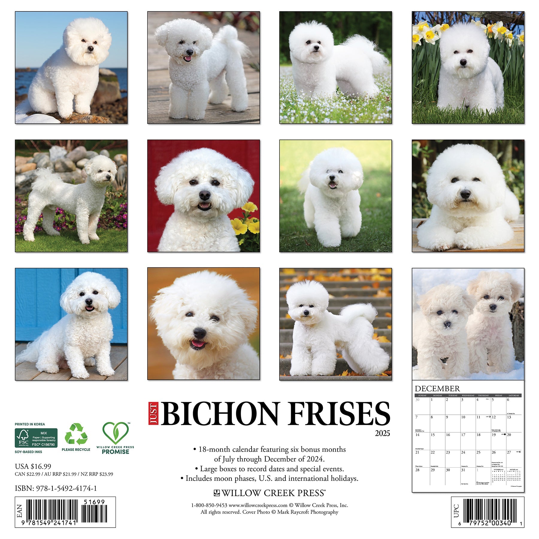 2025 Bichon Frises - Square Wall Calendar