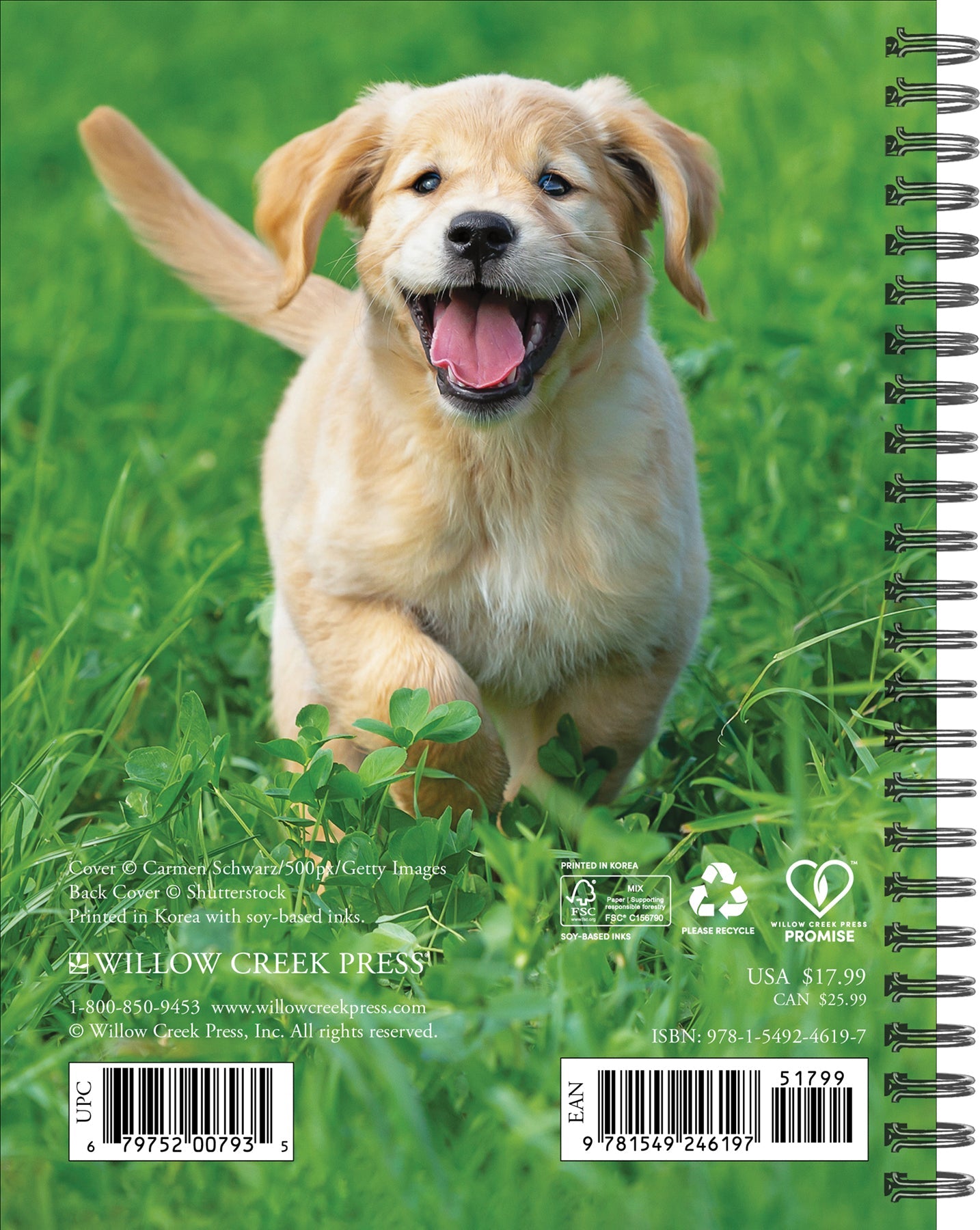 2025 What Goldens Teach Us - Weekly Diary/Planner