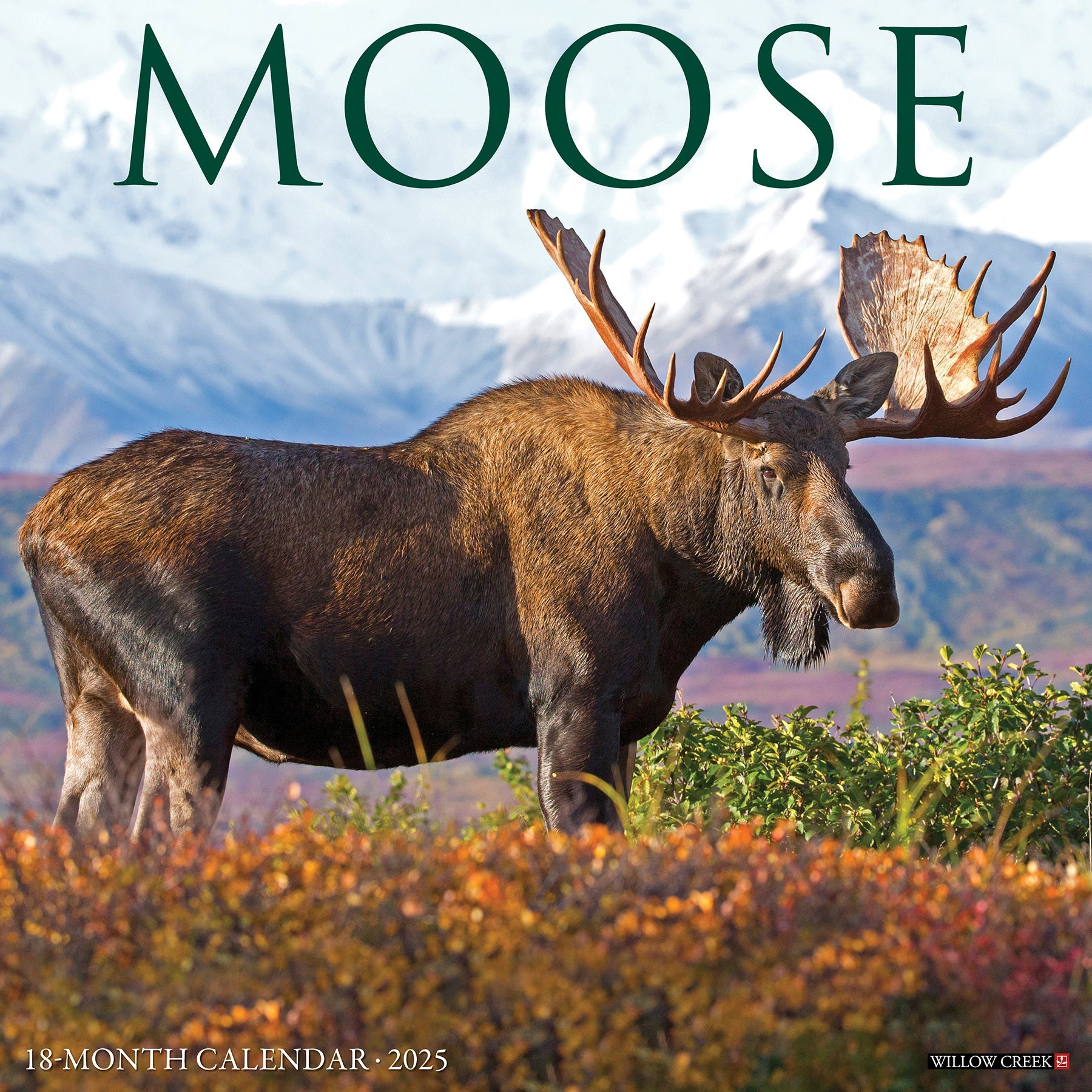 2025 Moose - Square Wall Calendar