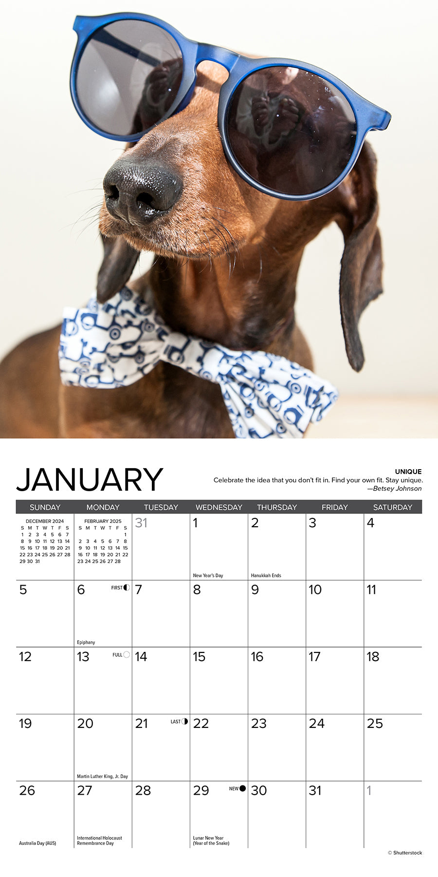 2025 Dachshund Rules - Mini Wall Calendar