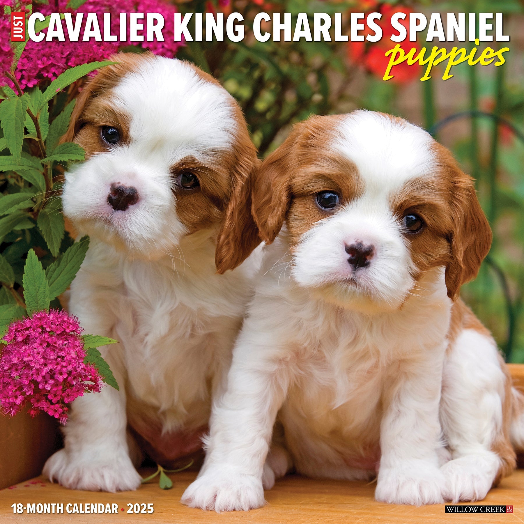 2025 Cavalier King Charles Spaniel Puppies - Square Wall Calendar