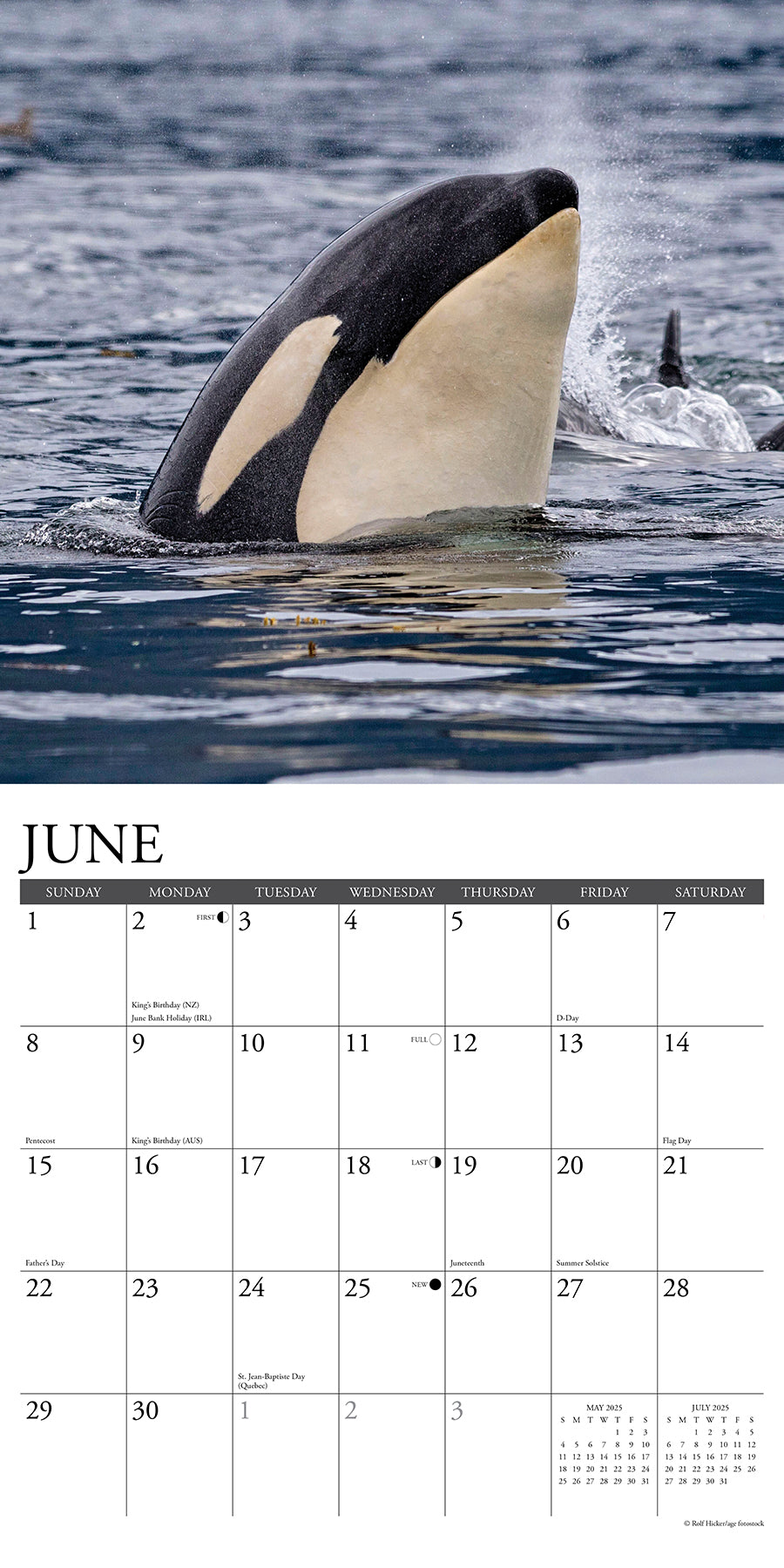 2025 Orca (Journey With the) - Square Wall Calendar