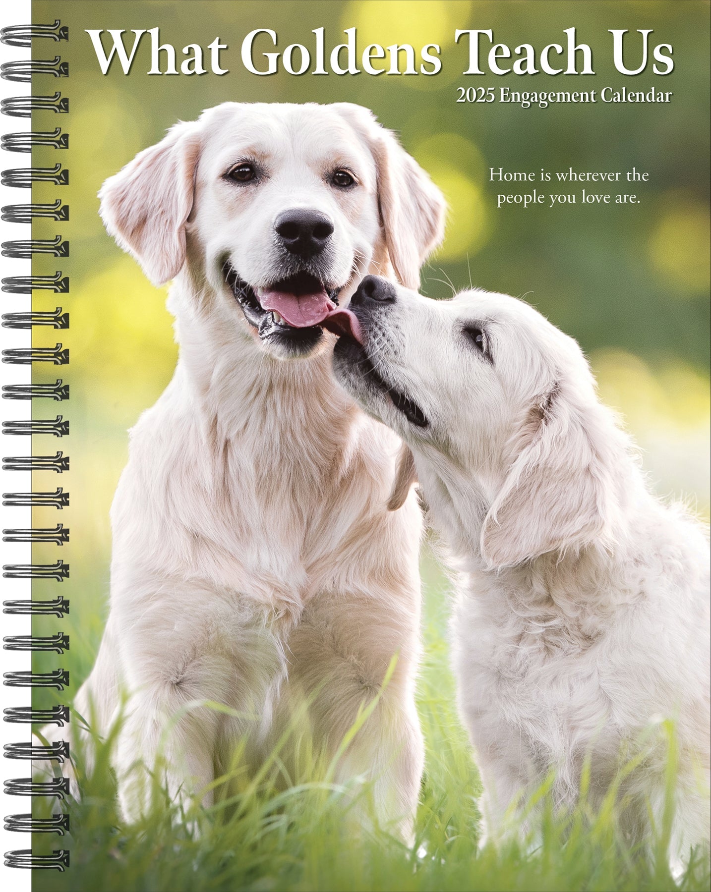 2025 What Goldens Teach Us - Weekly Diary/Planner