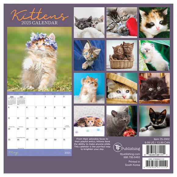 2025 Kittens - Mini Wall Calendar