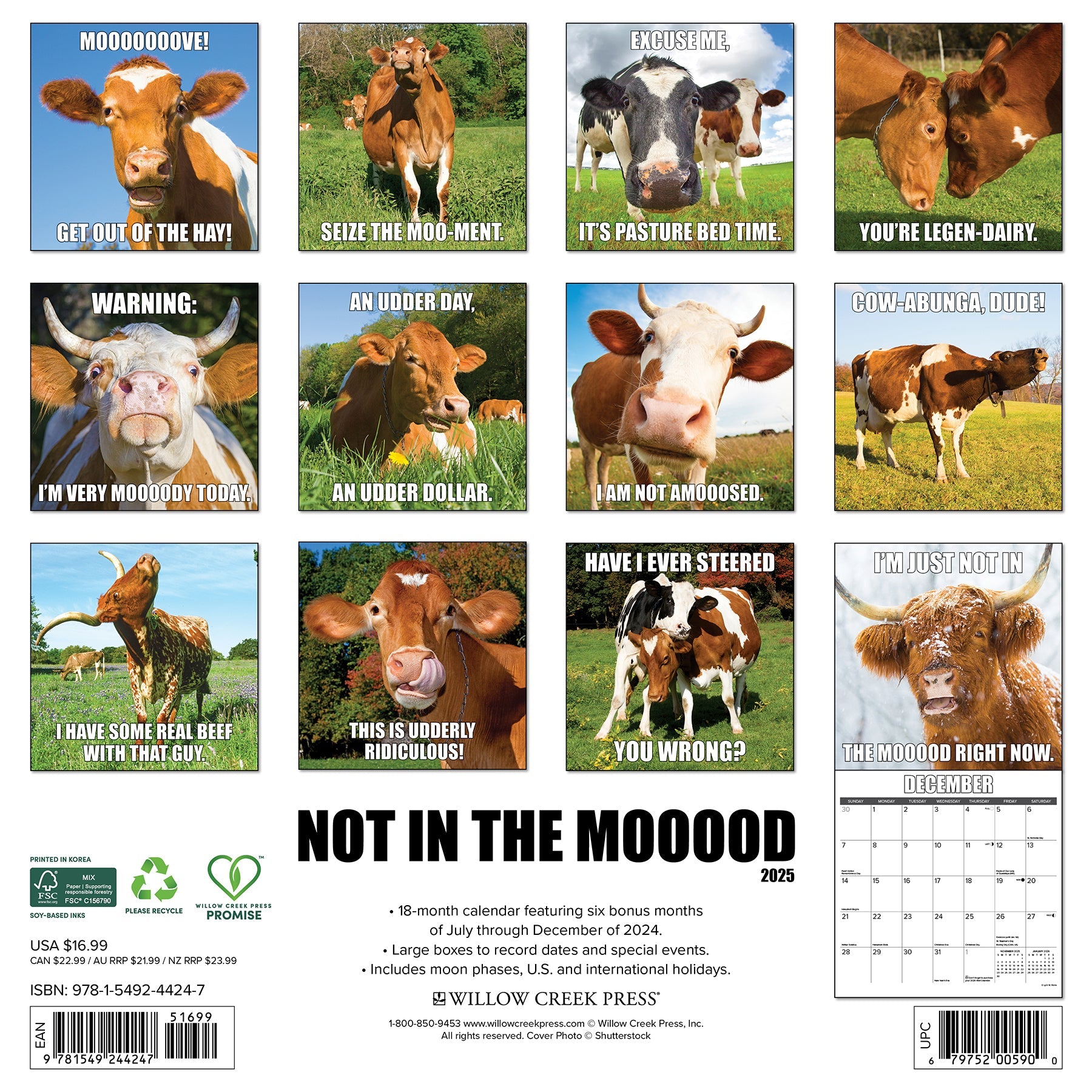 2025 Not in the Mooood - Square Wall Calendar