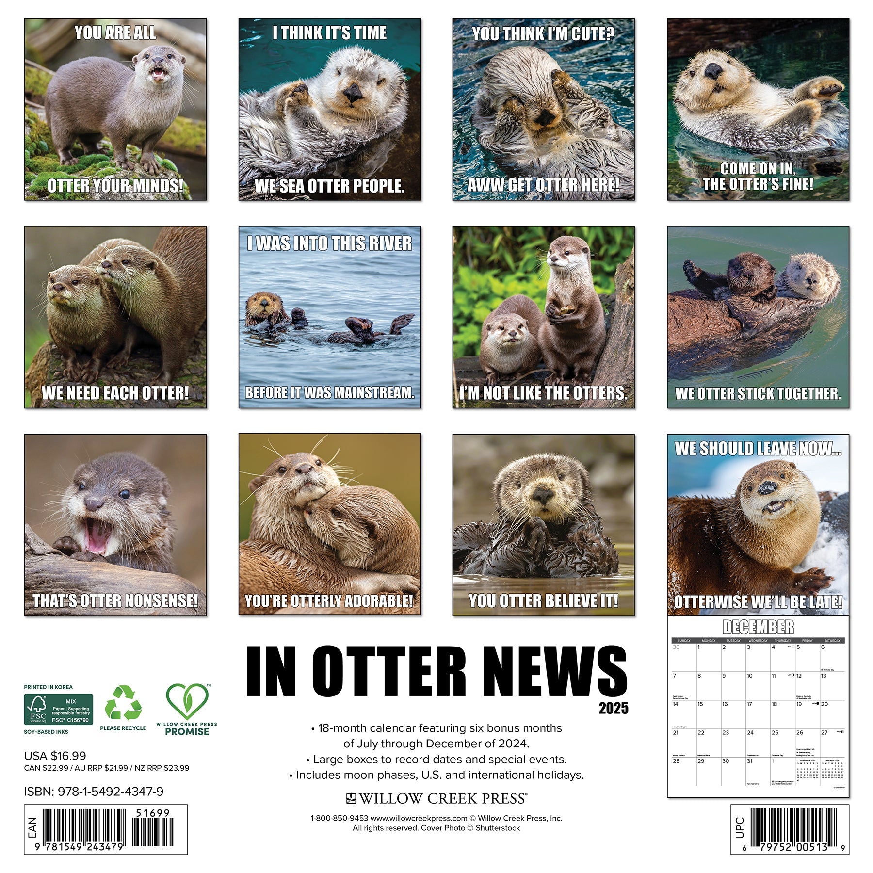 2025 In Otter News - Square Wall Calendar