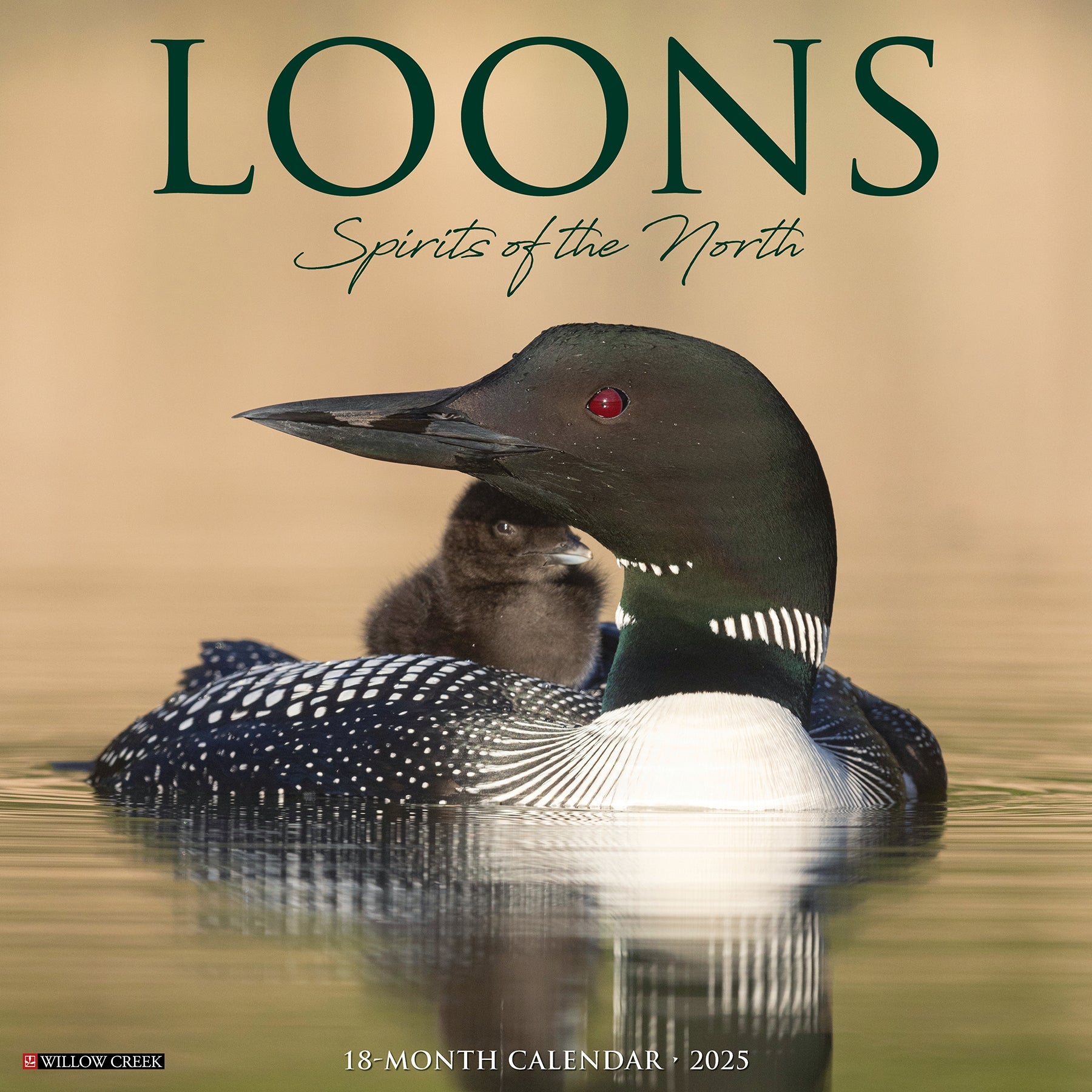 2025 Loons - Square Wall Calendar