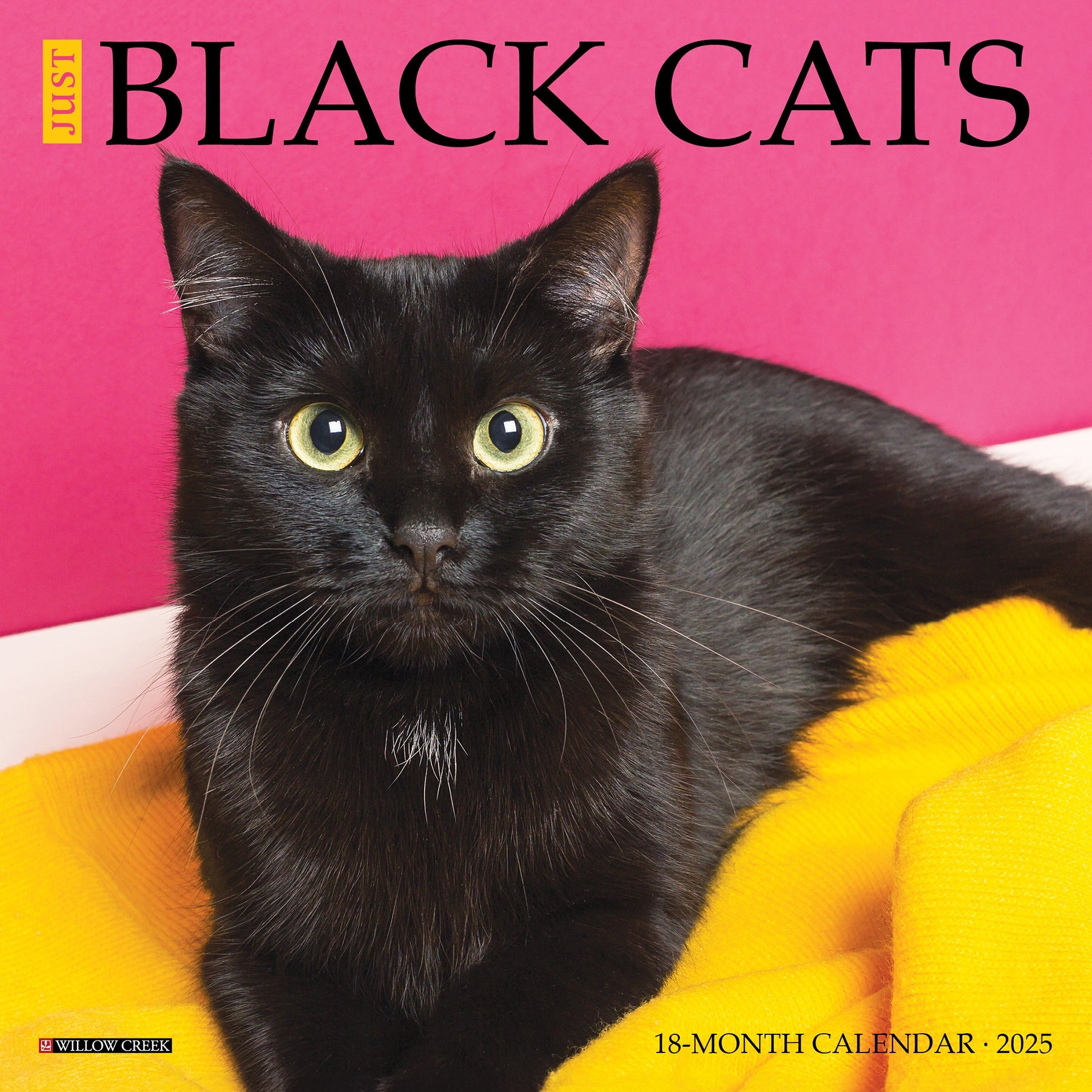 2025 Black Cats - Mini Wall Calendar