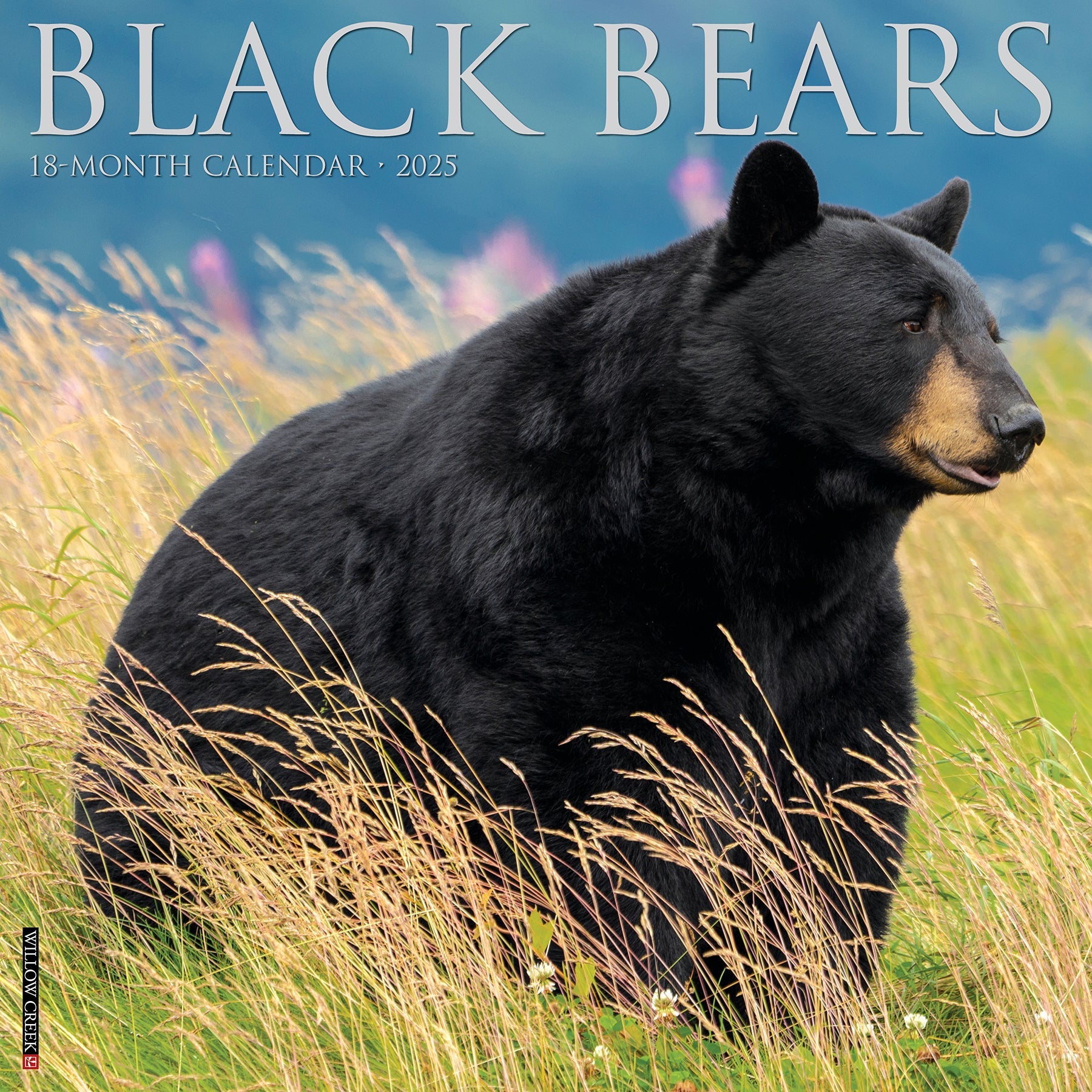 2025 Black Bears - Square Wall Calendar