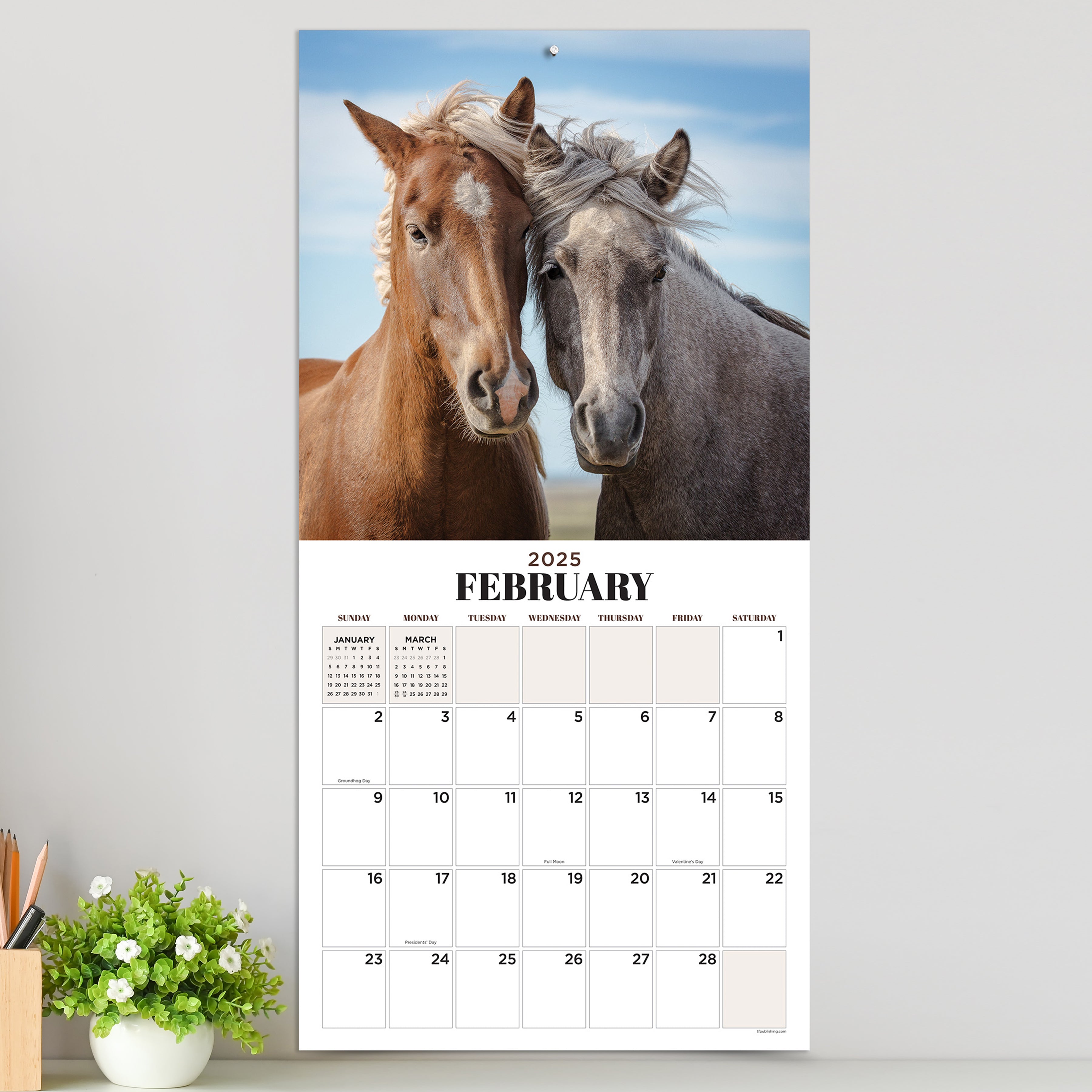 2025 Horses - Square Wall Calendar