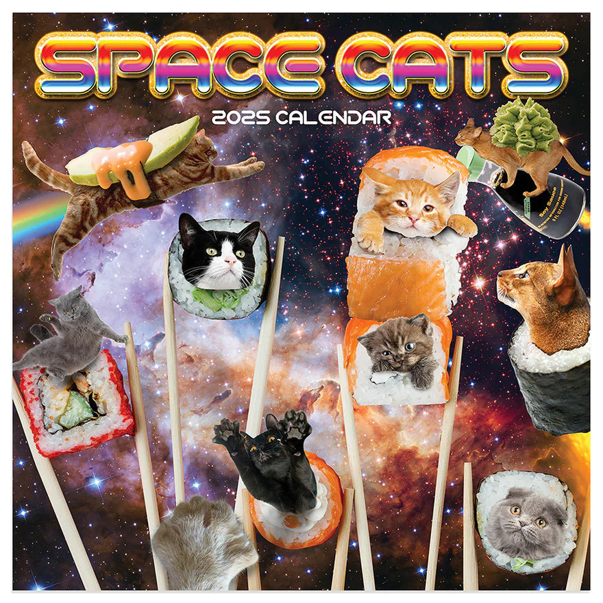 2025 Space Cats - Mini Wall Calendar