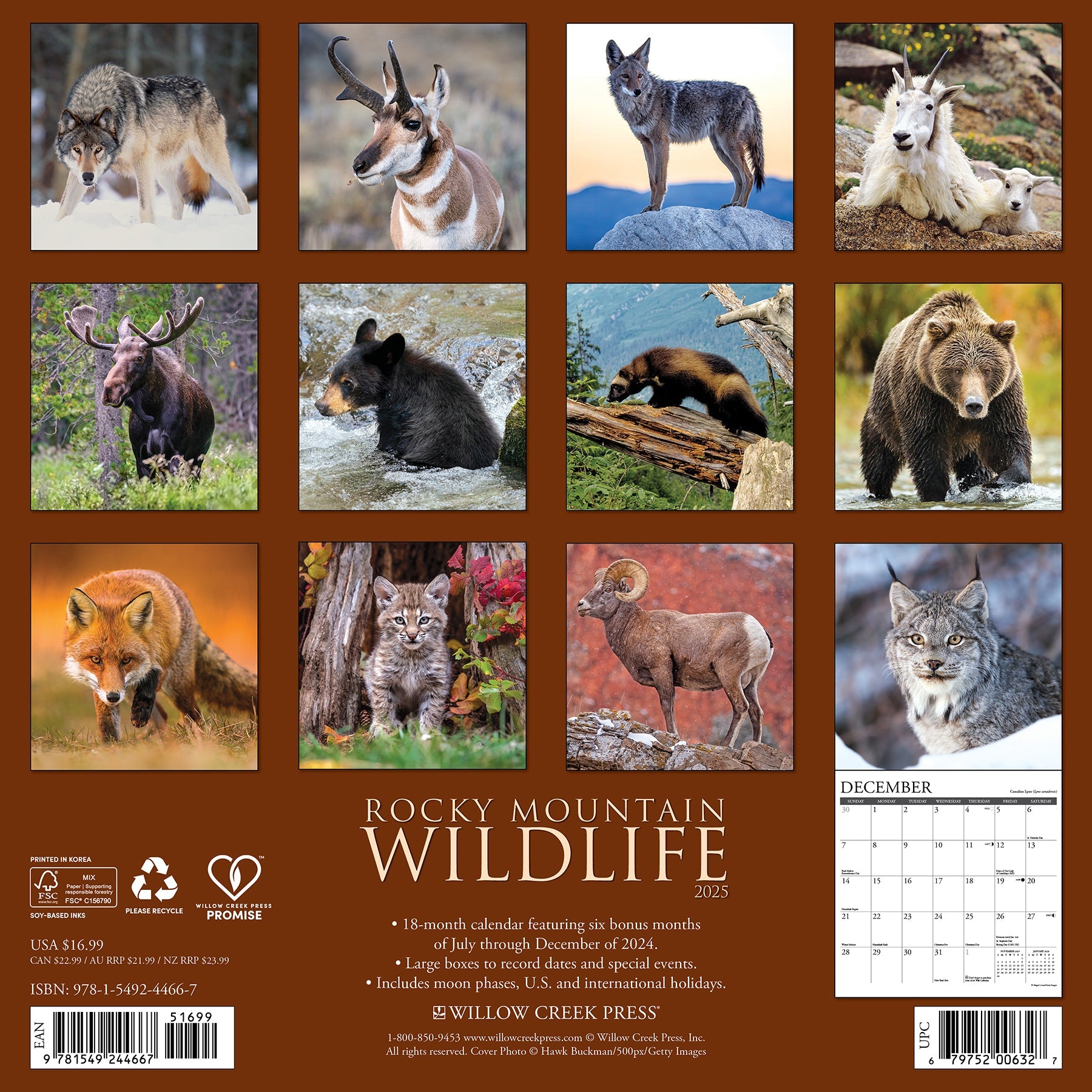 2025 Rocky Mountain Wildlife - Square Wall Calendar