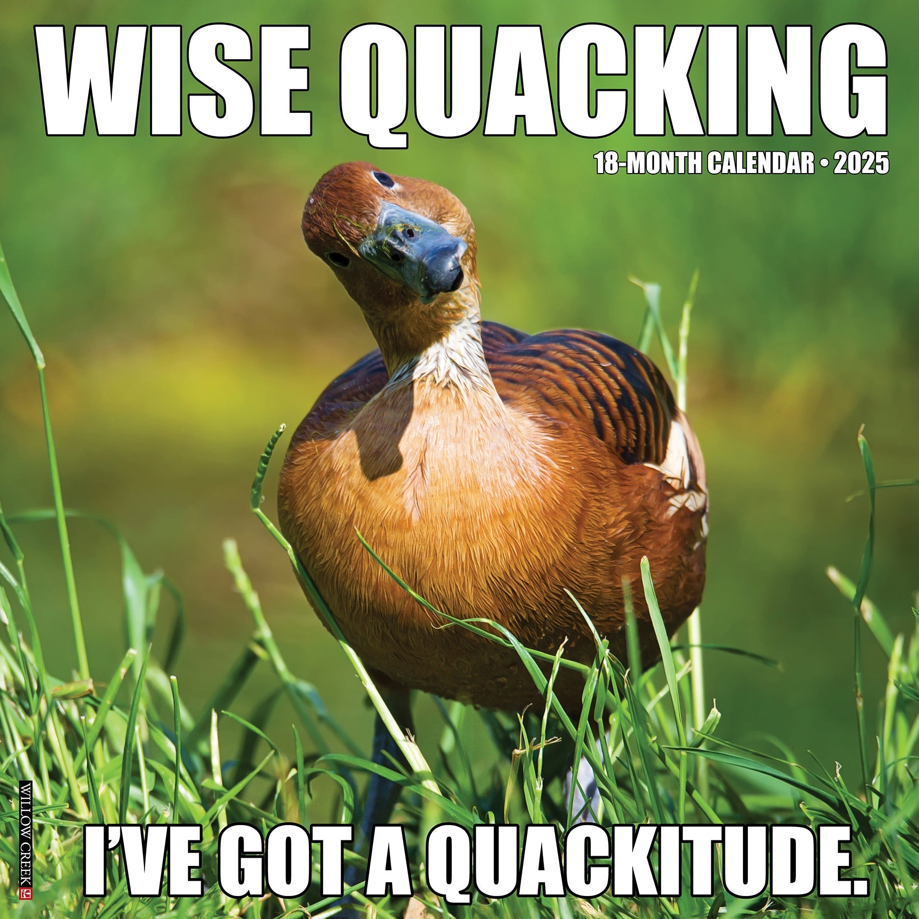 2025 Wise Quacking - Square Wall Calendar