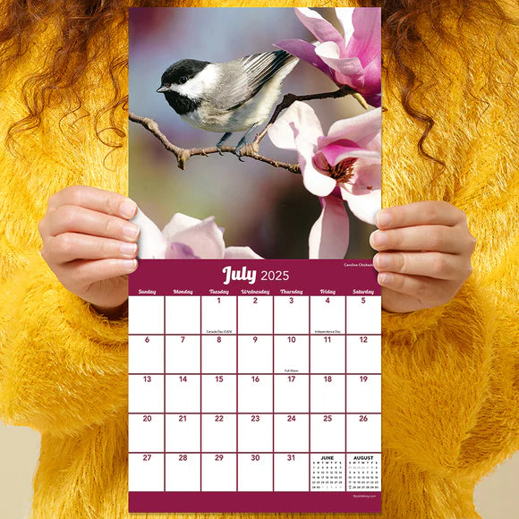 2025 Backyard Birds - Mini Wall Calendar