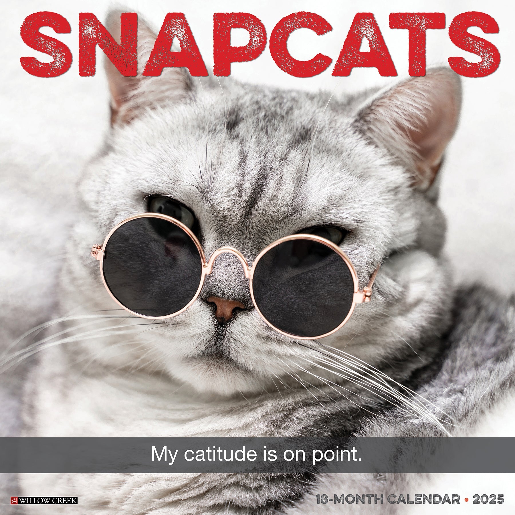 2025 Snapcats - Square Wall Calendar