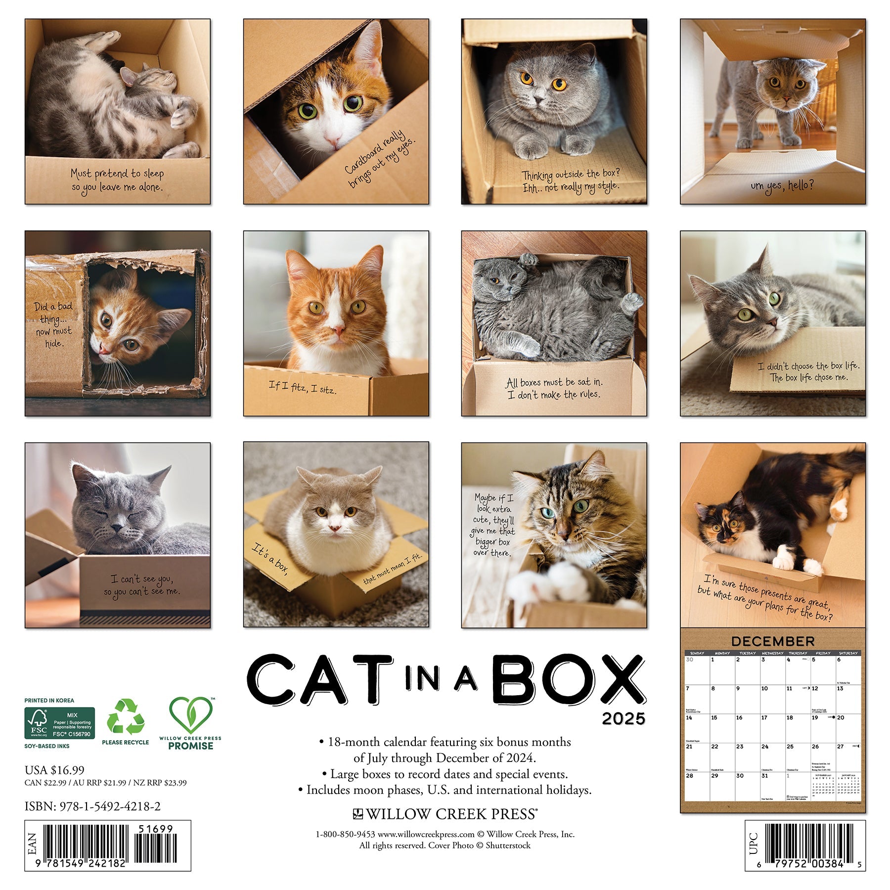 2025 Cat in a Box - Square Wall Calendar