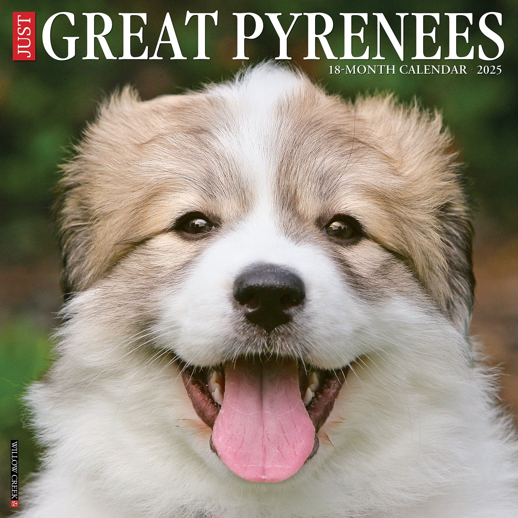 2025 Great Pyrenees - Square Wall Calendar