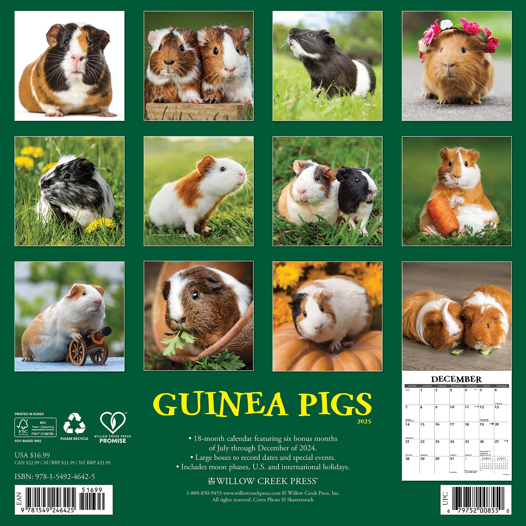 2025 Guinea Pigs - Square Wall Calendar