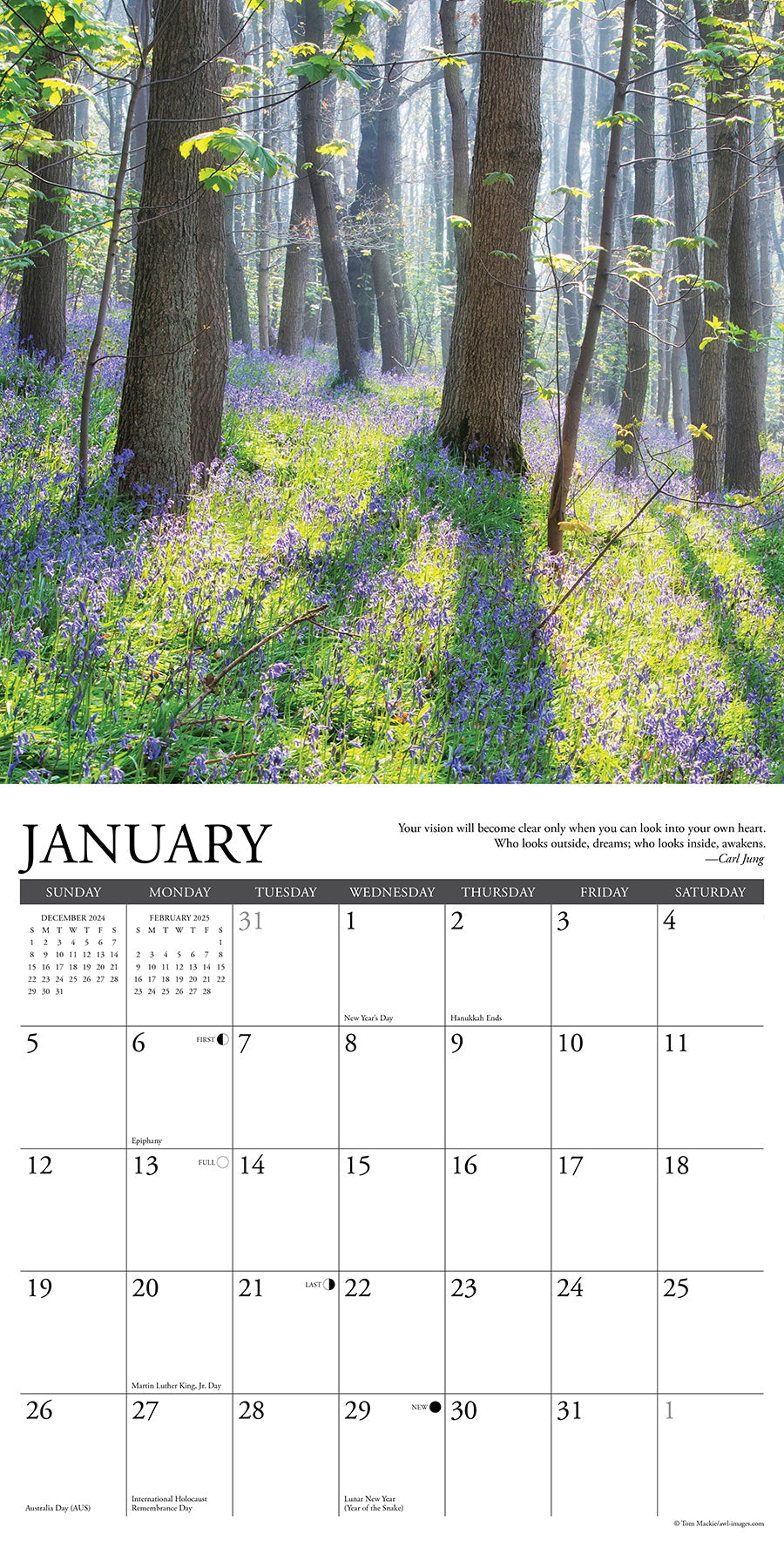 2025 Inspirations - Square Wall Calendar