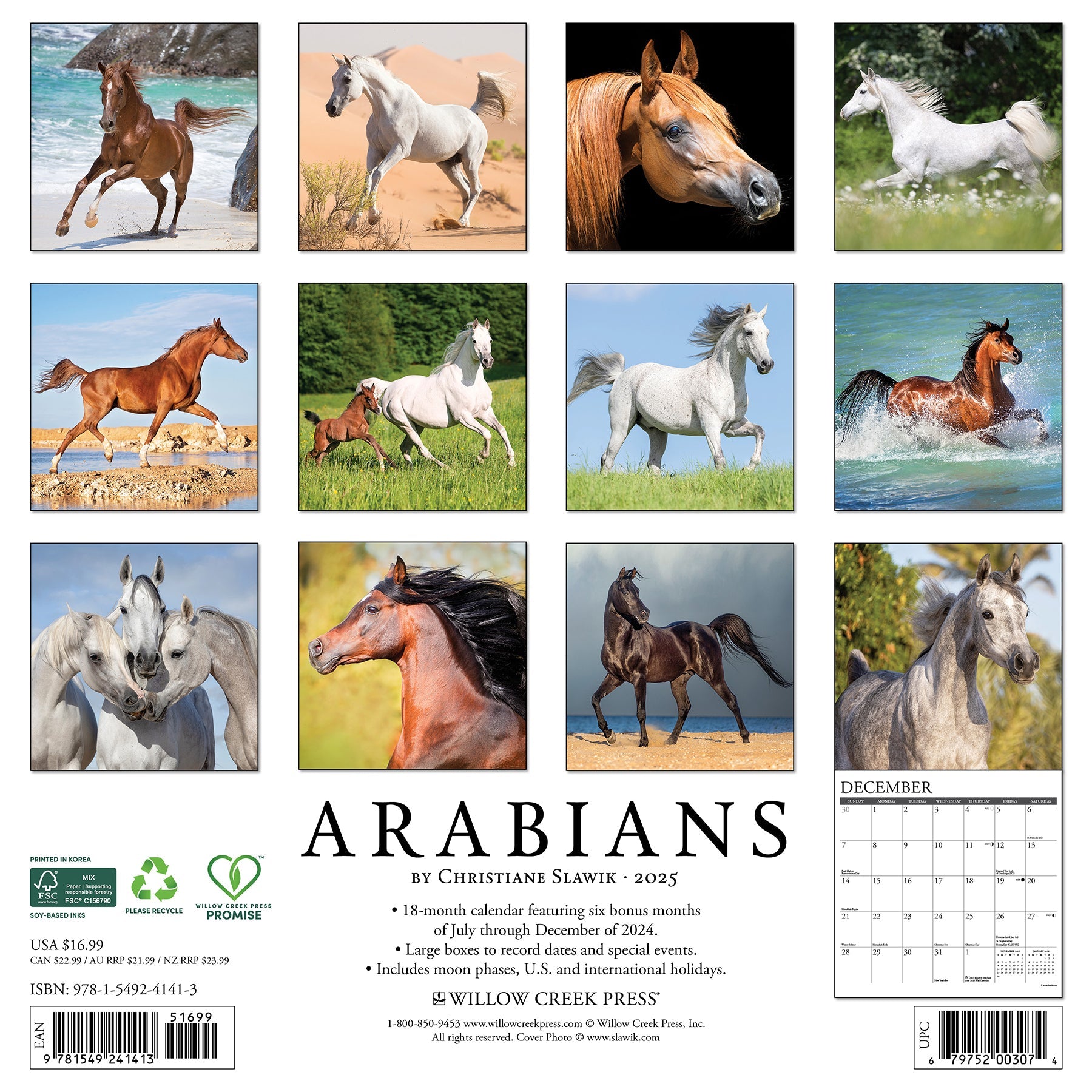 2025 Arabians - Square Wall Calendar