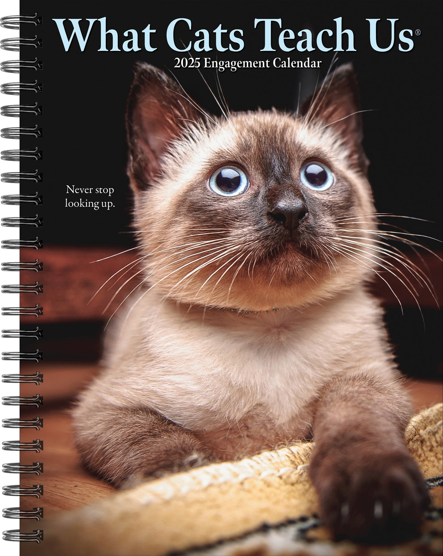 2025 What Cats Teach Us - Weekly Diary/Planner