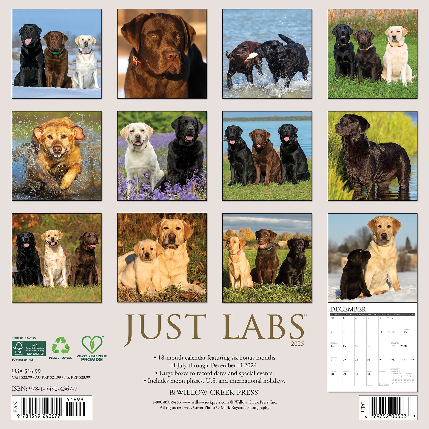 2025 Labs - Square Wall Calendar