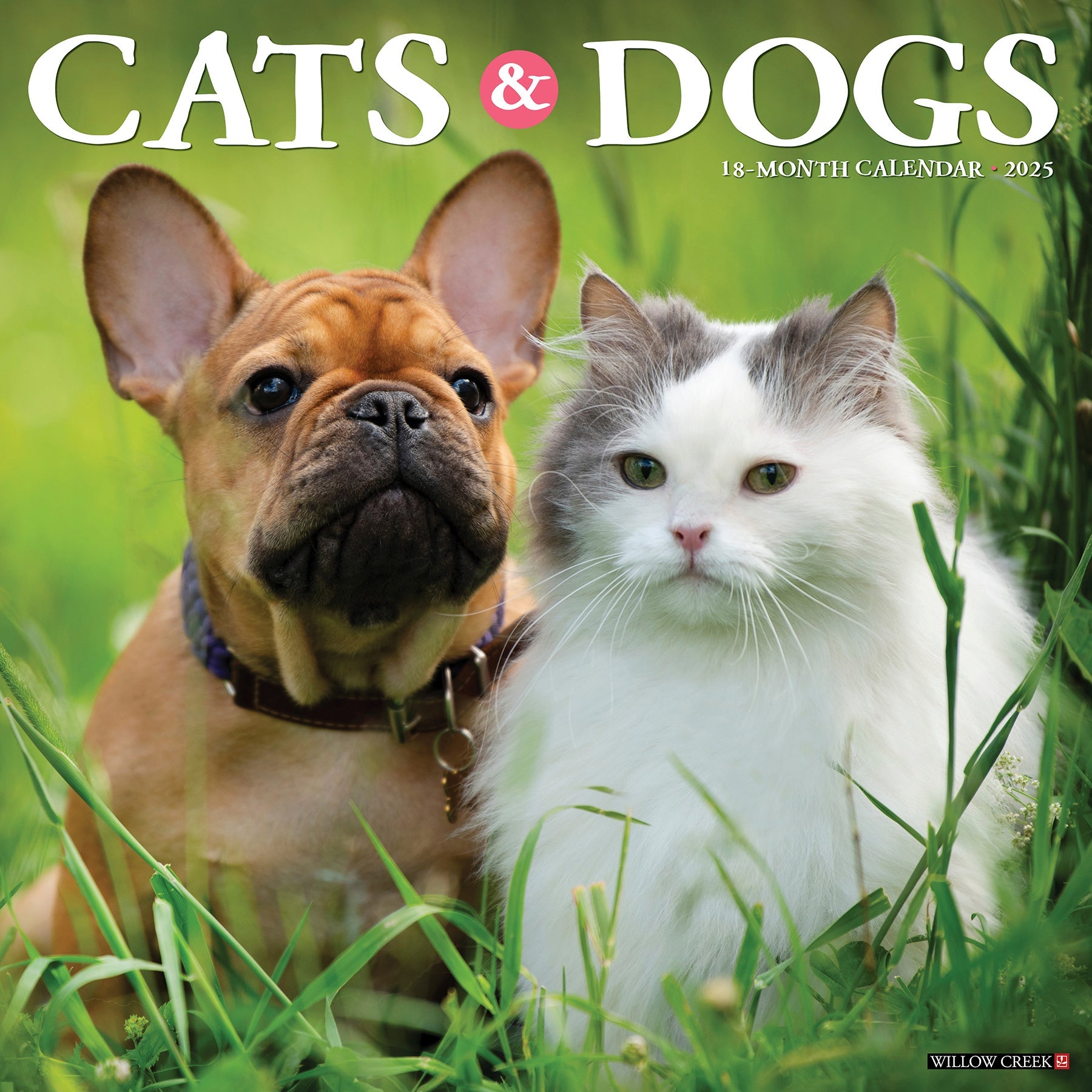 2025 Cats & Dogs - Square Wall Calendar