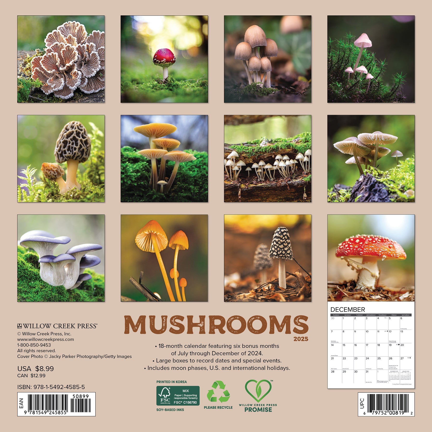 2025 Mushrooms - Mini Wall Calendar