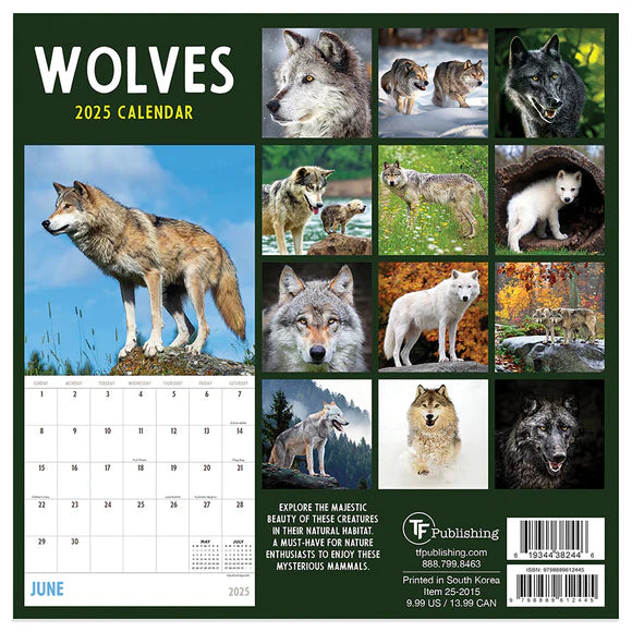 2025 Wolves - Mini Wall Calendar