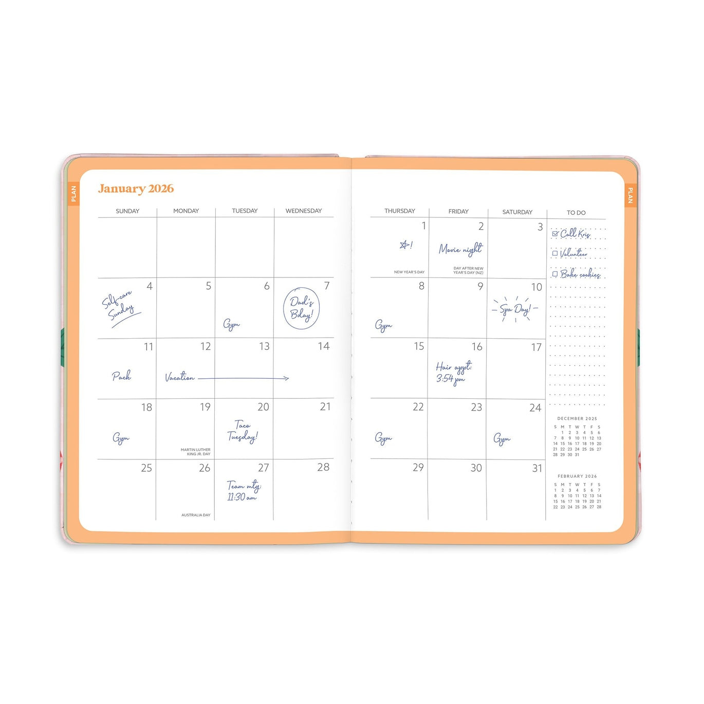 2026 Strawberry Love Good Day Planner - 17-Month Monthly Diary/Planner