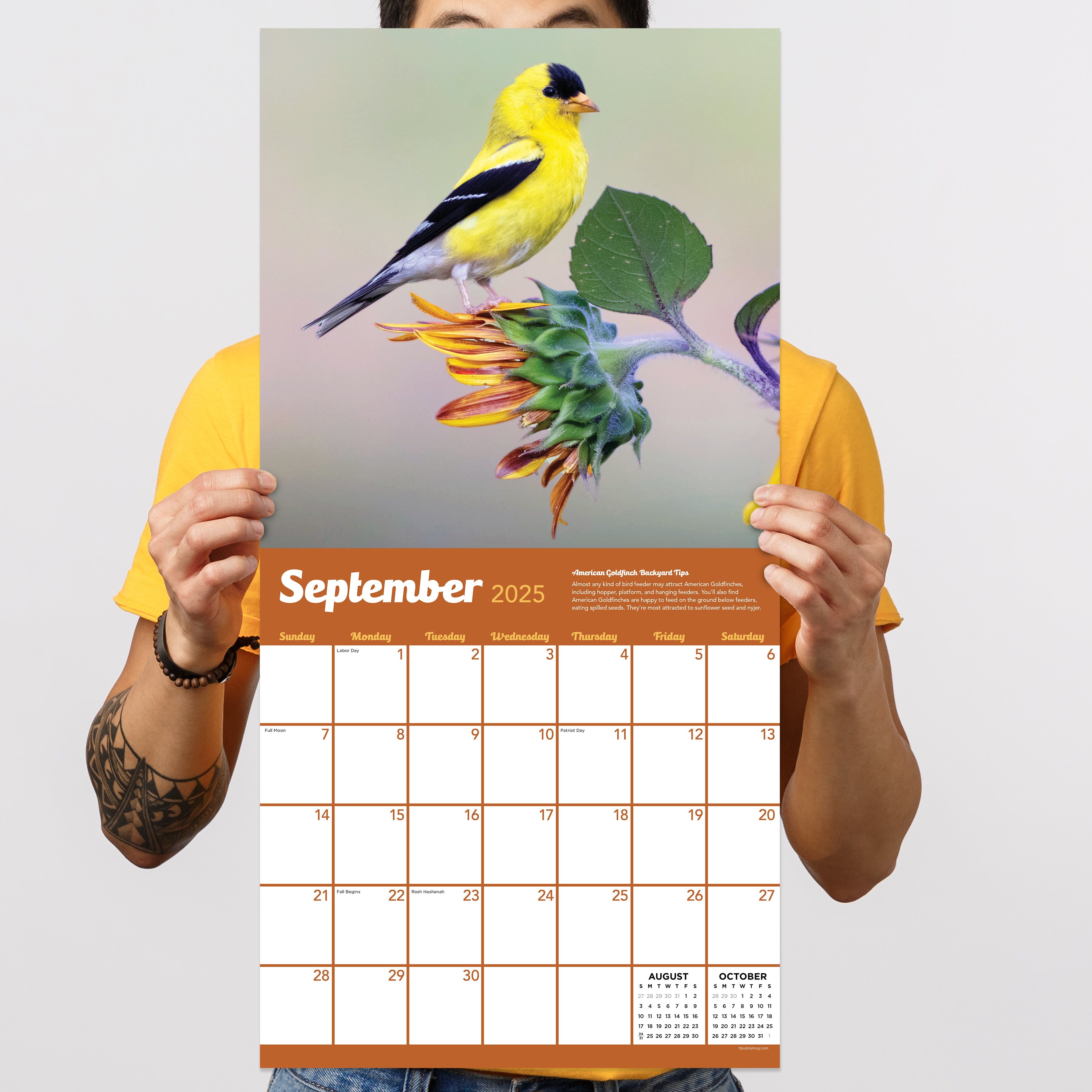 2025 Backyard Birds - Square Wall Calendar