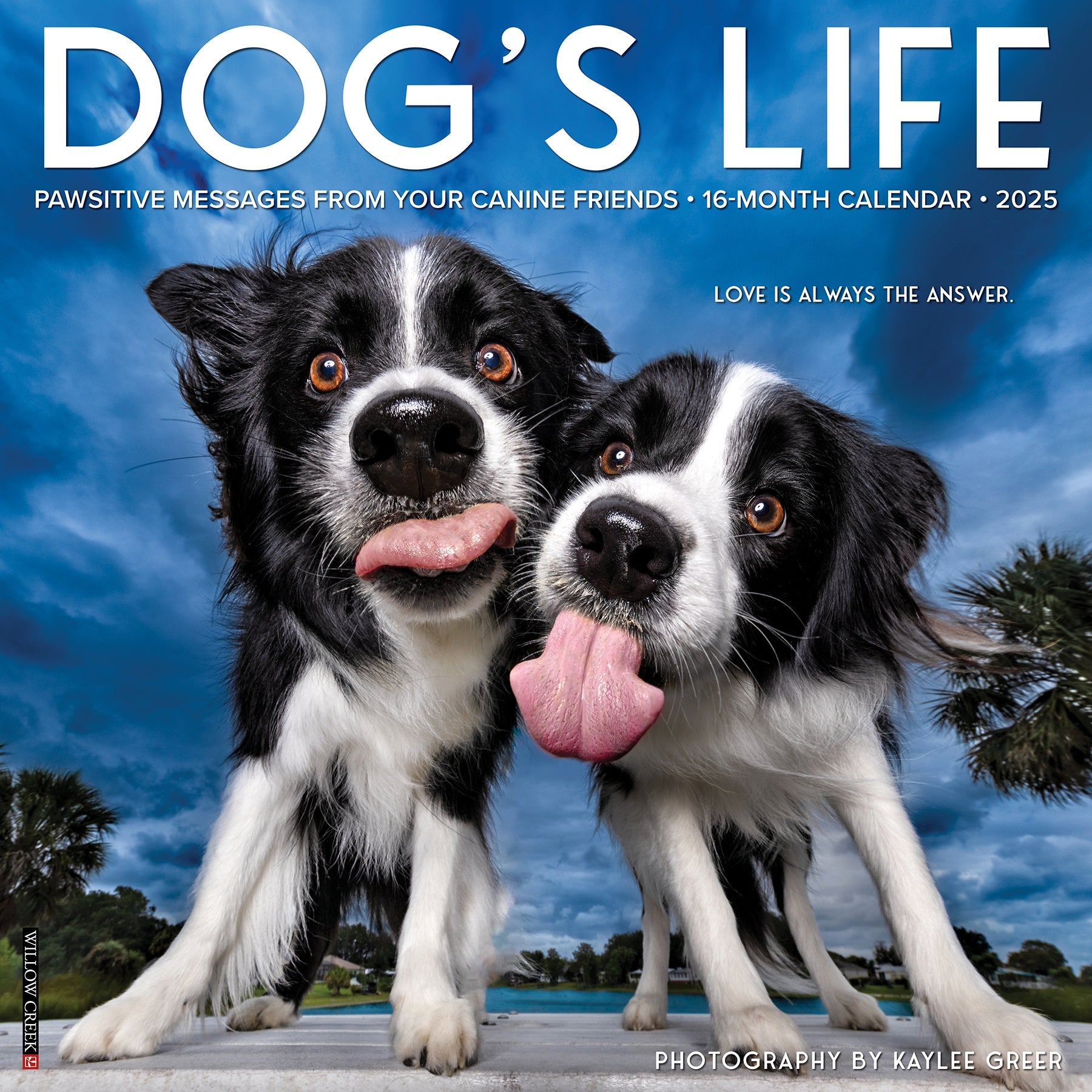 2025 Dog's Life - Square Wall Calendar