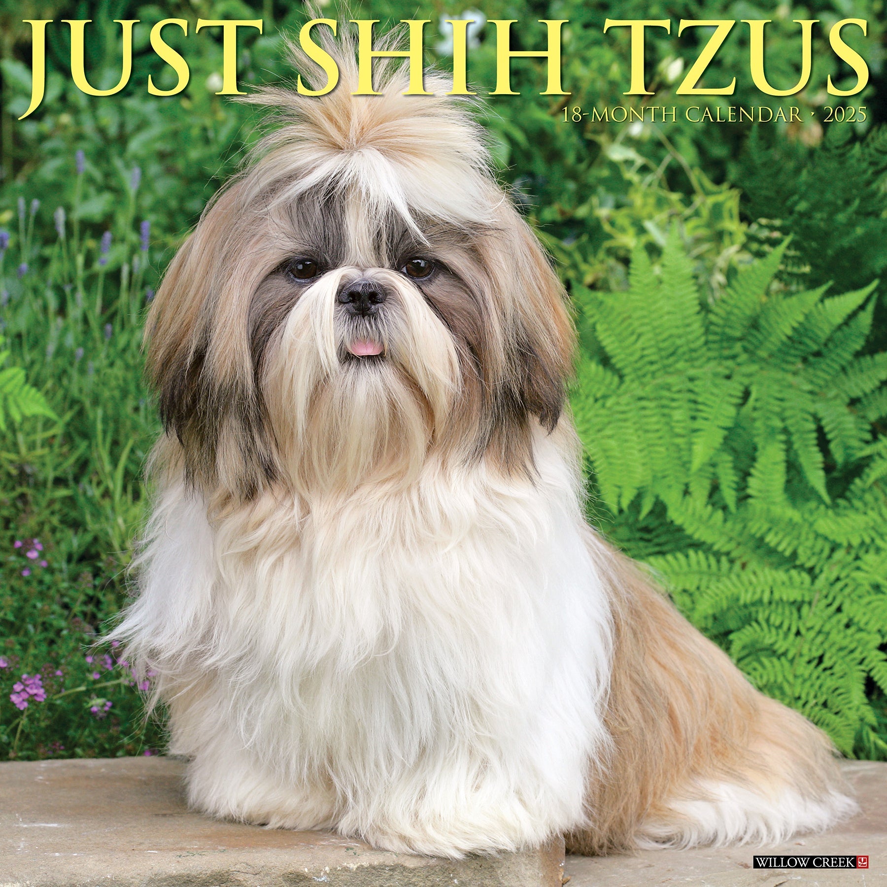 2025 Shih Tzus - Square Wall Calendar